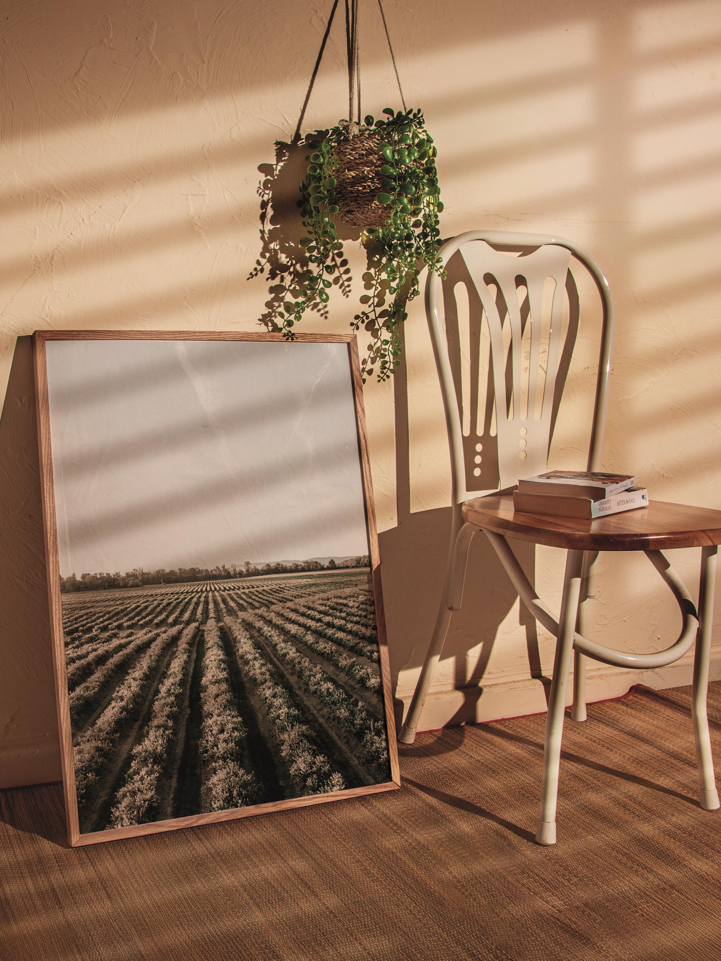 Rustic Çerçevesiz Poster, İskandinav Kahverengi Poster, NO:206 Tarla ve Gökyüzü Fotoğraf, Dikey