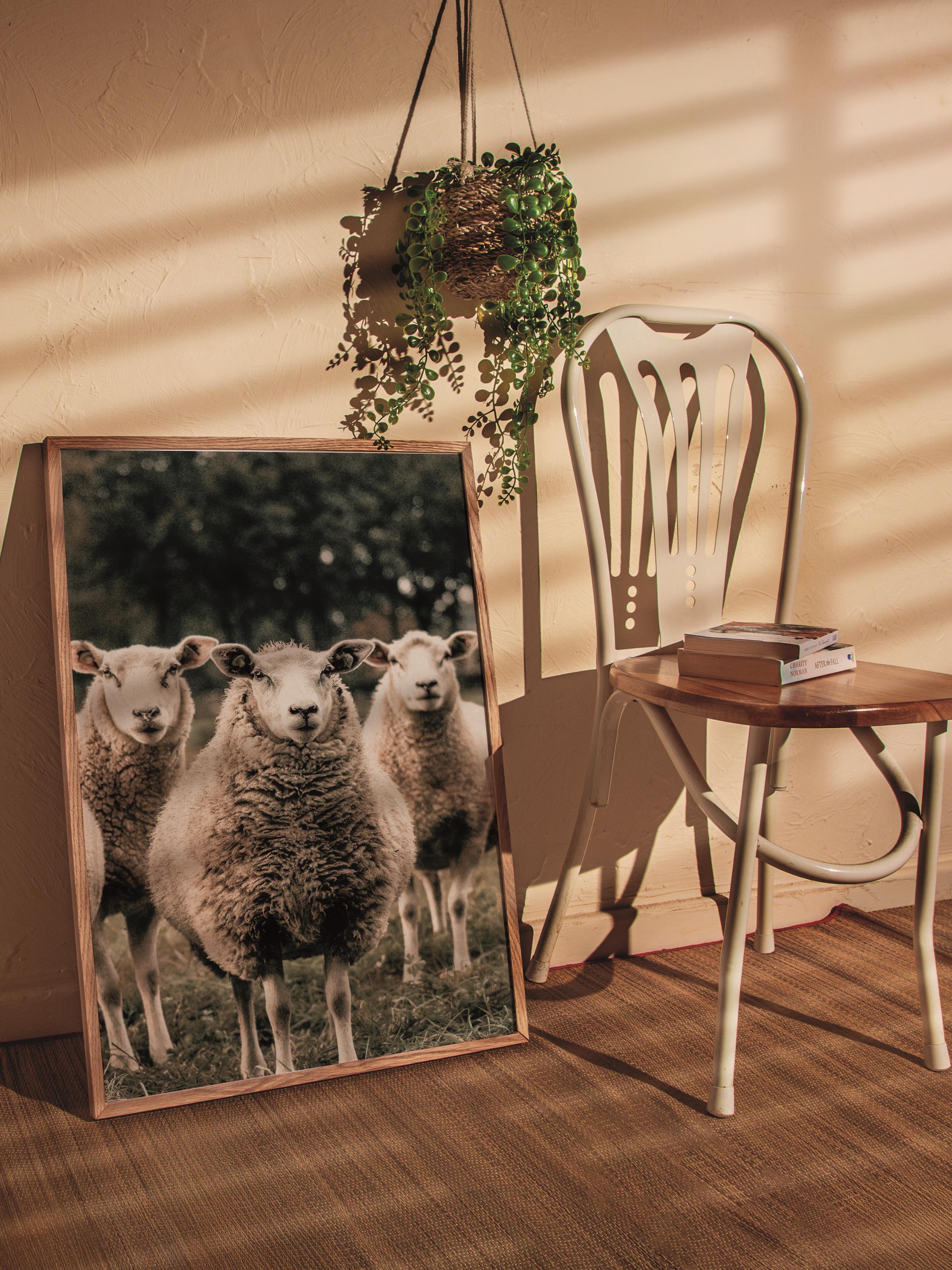Rustic Çerçevesiz Poster, İskandinav Kahverengi Poster, NO:209 Koyunlar Fotoğraf, Dikey
