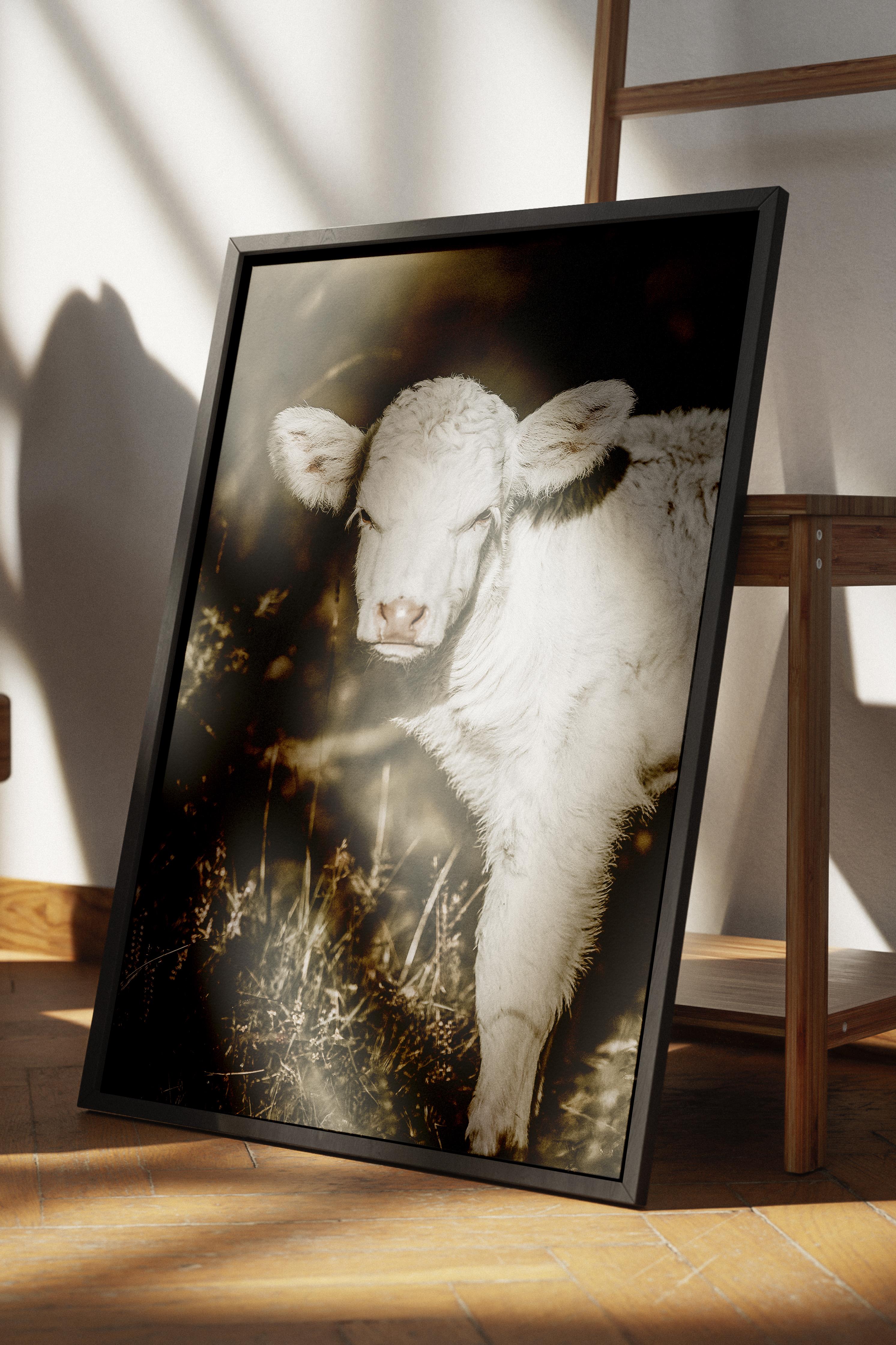 Rustic Çerçevesiz Poster, İskandinav Kahverengi Poster, NO:215 Buzağı Yakın Plan Fotoğraf, Dikey