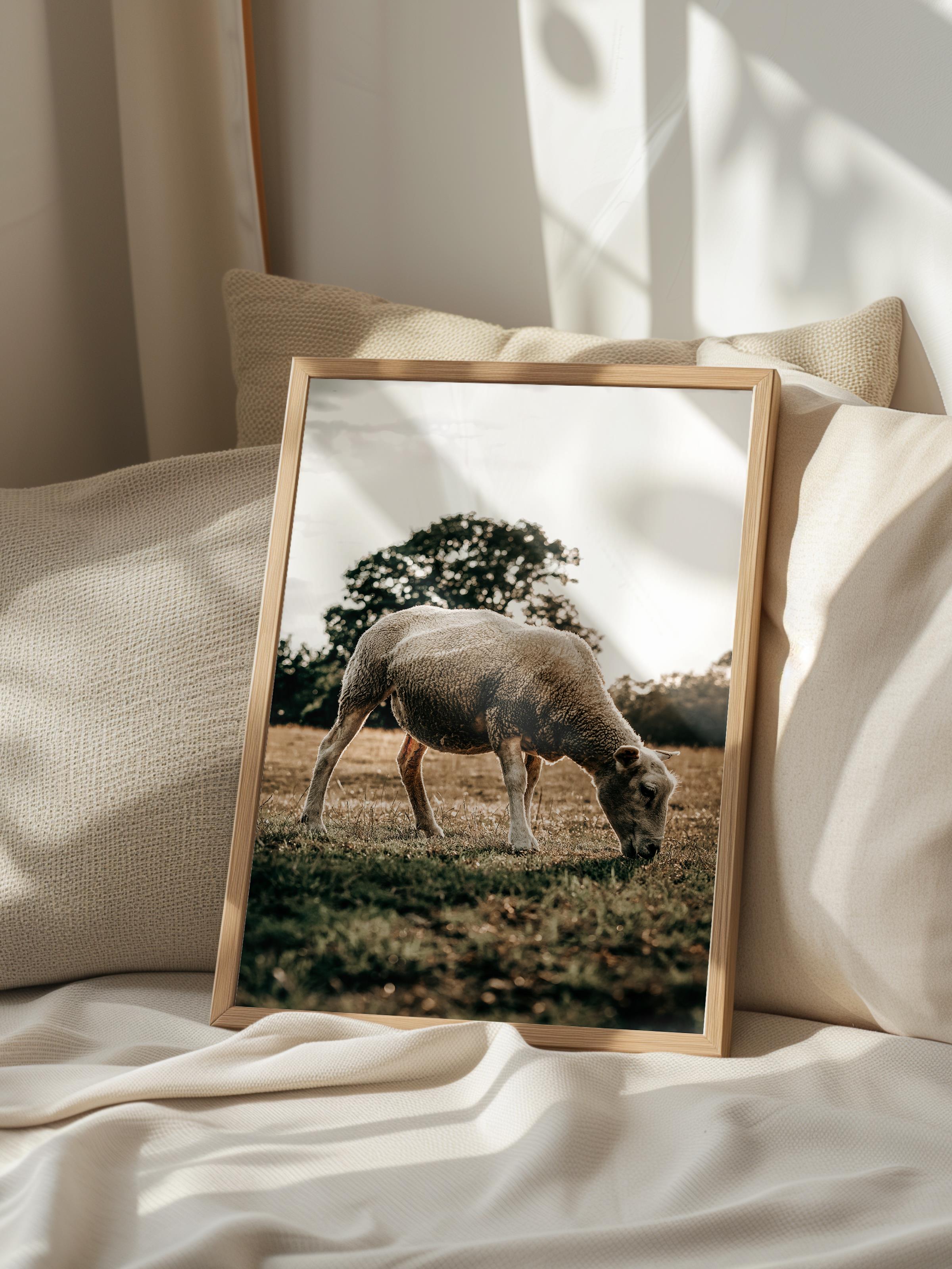 Rustic Çerçevesiz Poster, İskandinav Kahverengi Poster, NO:217 Koyun Fotoğraf, Dikey