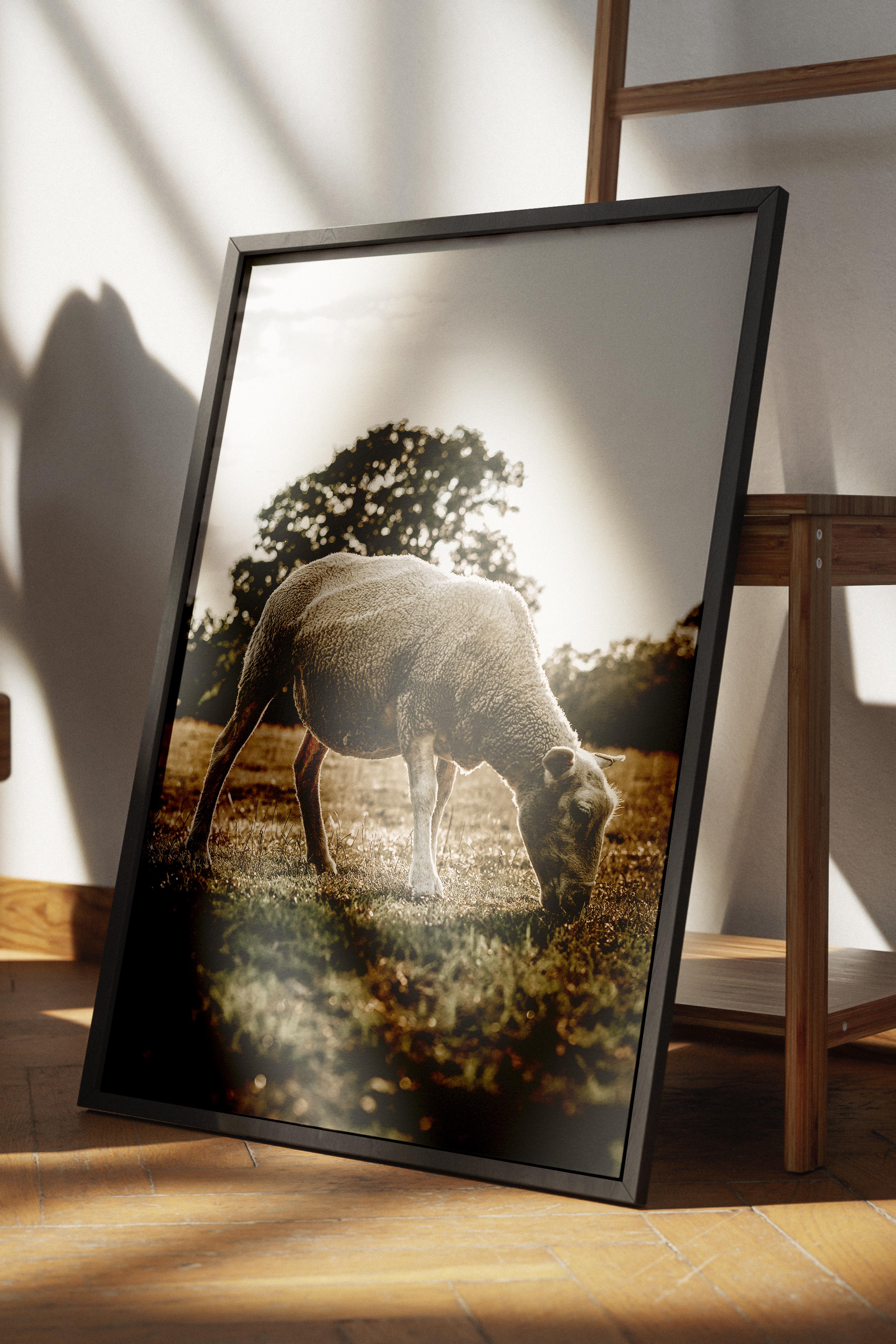 Rustic Çerçevesiz Poster, İskandinav Kahverengi Poster, NO:217 Koyun Fotoğraf, Dikey