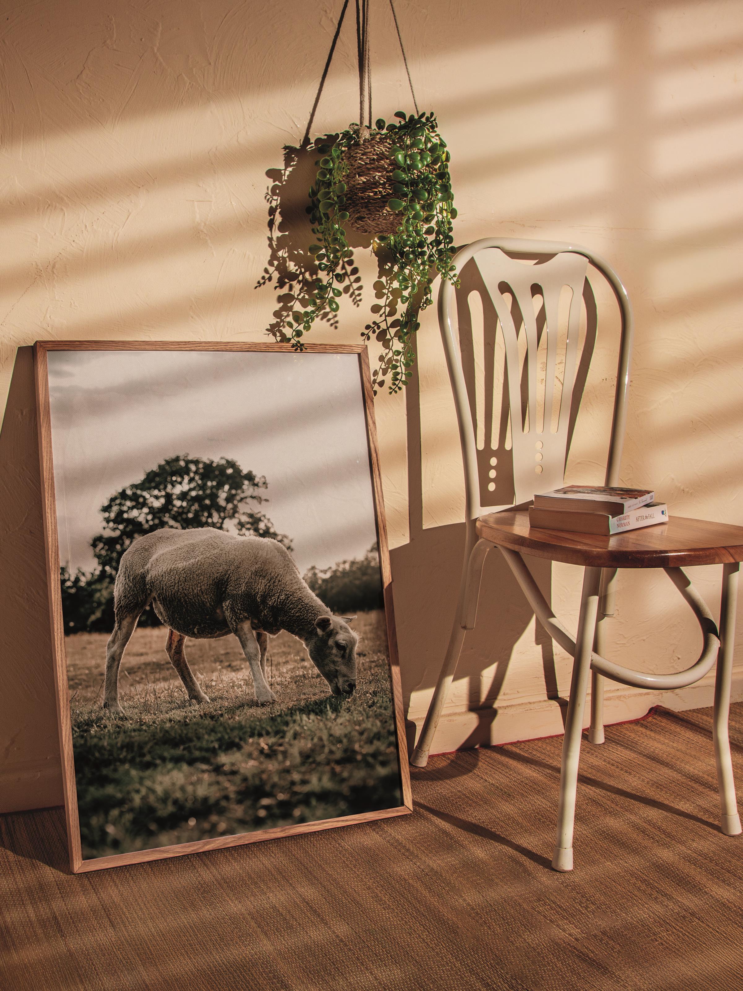 Rustic Çerçevesiz Poster, İskandinav Kahverengi Poster, NO:217 Koyun Fotoğraf, Dikey