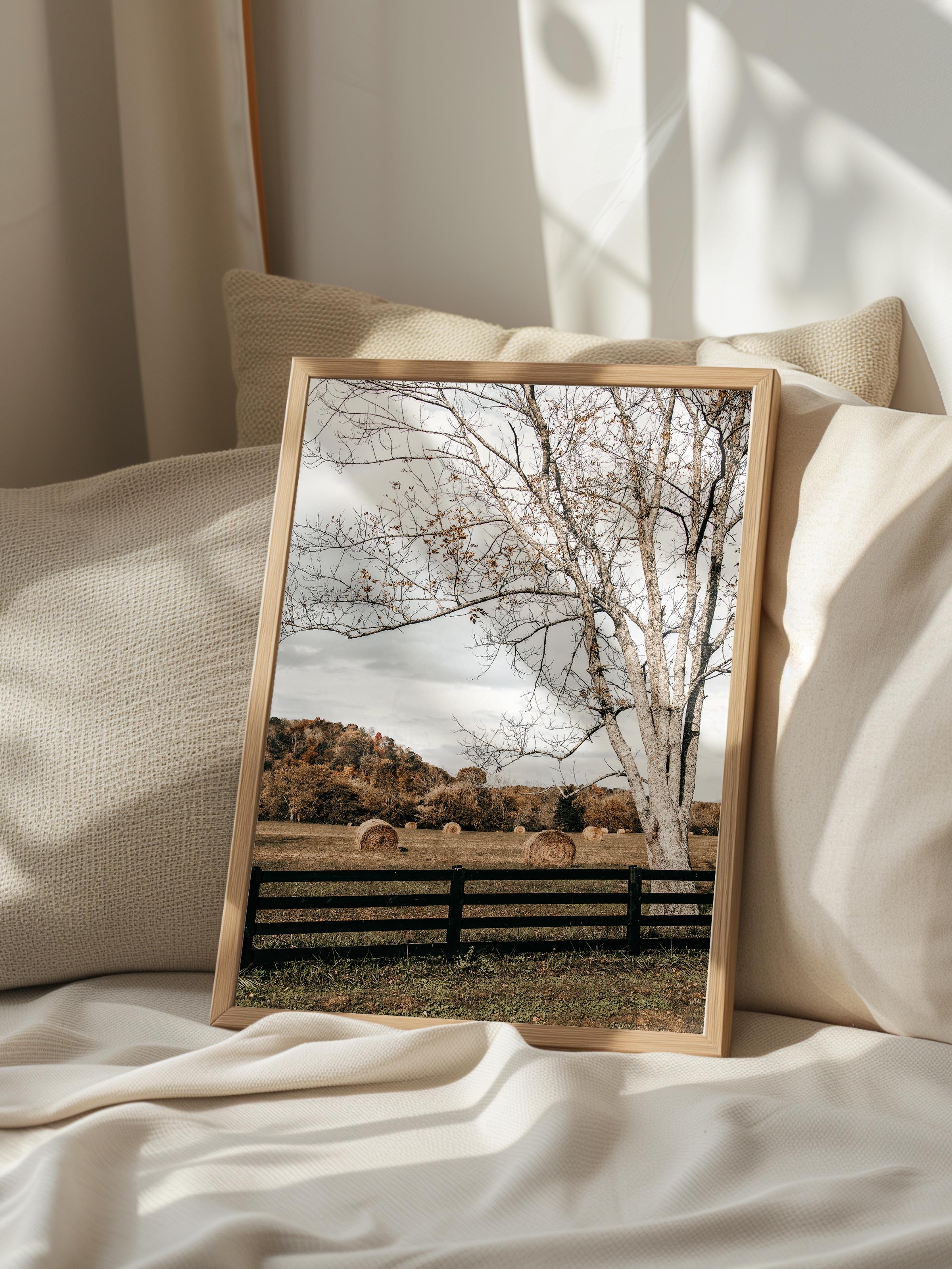 Rustic Çerçevesiz Poster, İskandinav Kahverengi Poster, NO:221 Çit ve Ağaç Fotoğraf, Dikey