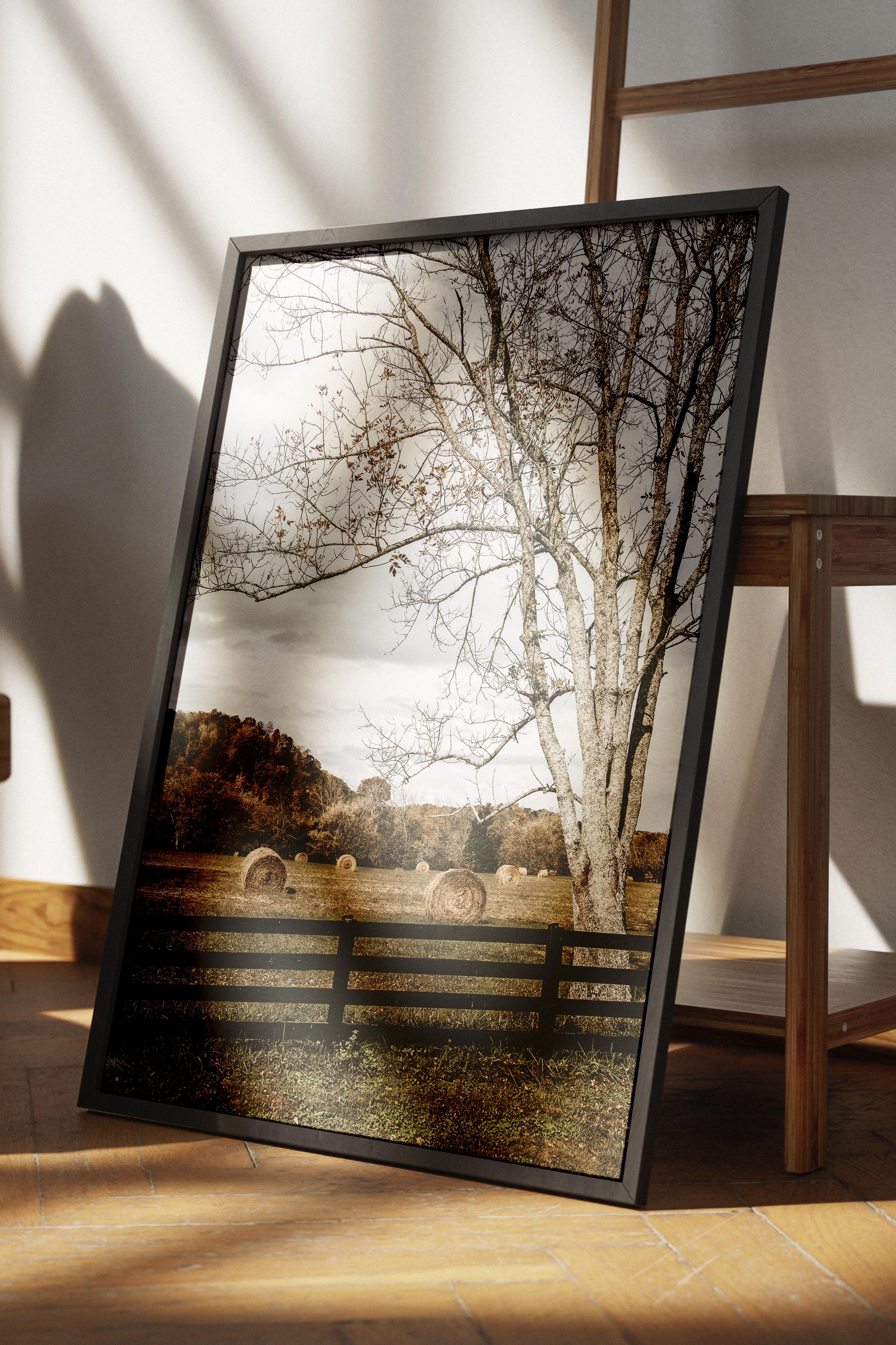 Rustic Çerçevesiz Poster, İskandinav Kahverengi Poster, NO:221 Çit ve Ağaç Fotoğraf, Dikey