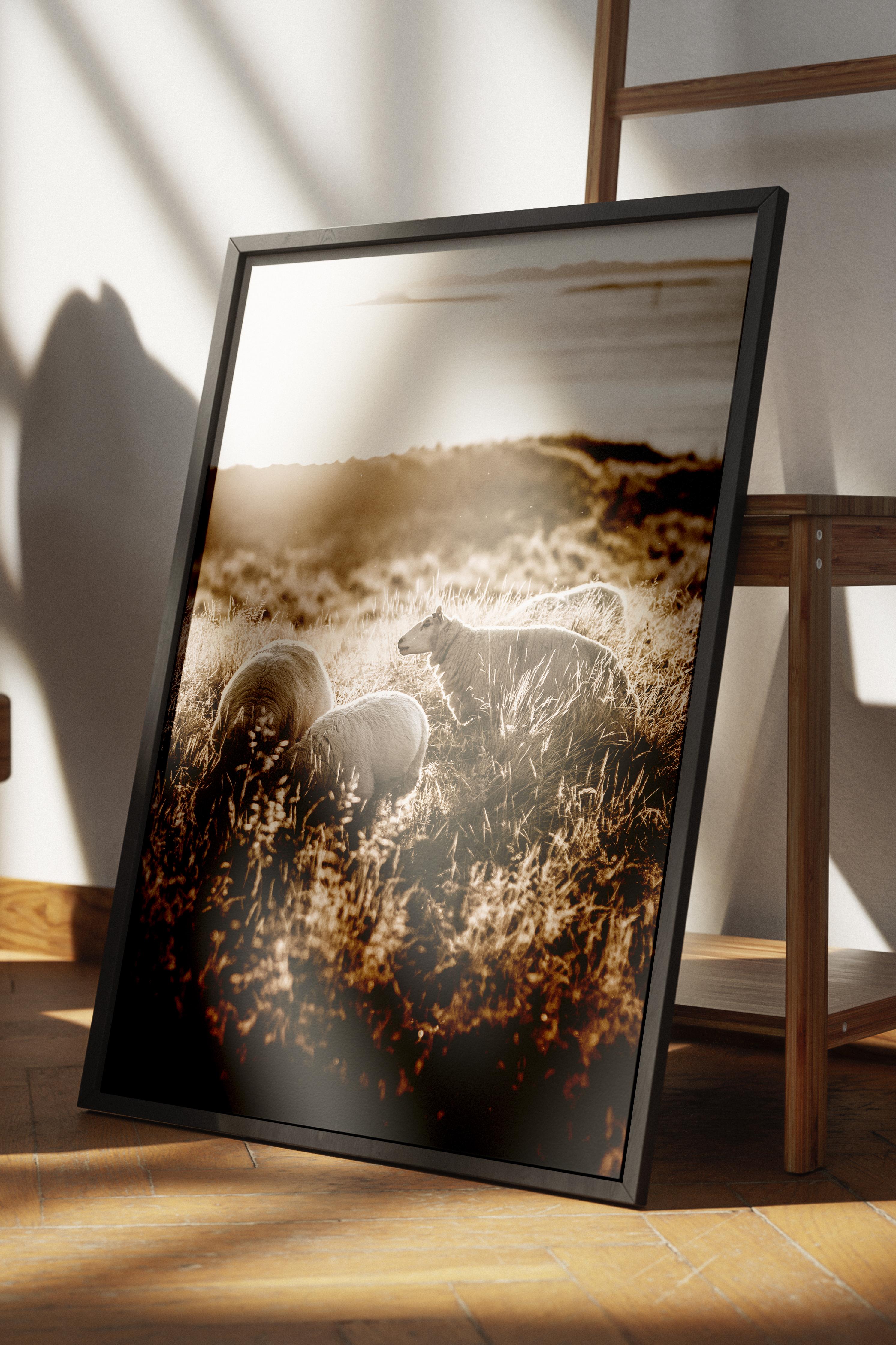 Rustic Çerçevesiz Poster, İskandinav Kahverengi Poster, NO:223 Koyunlar ve Gün Batımı Fotoğraf, Dikey