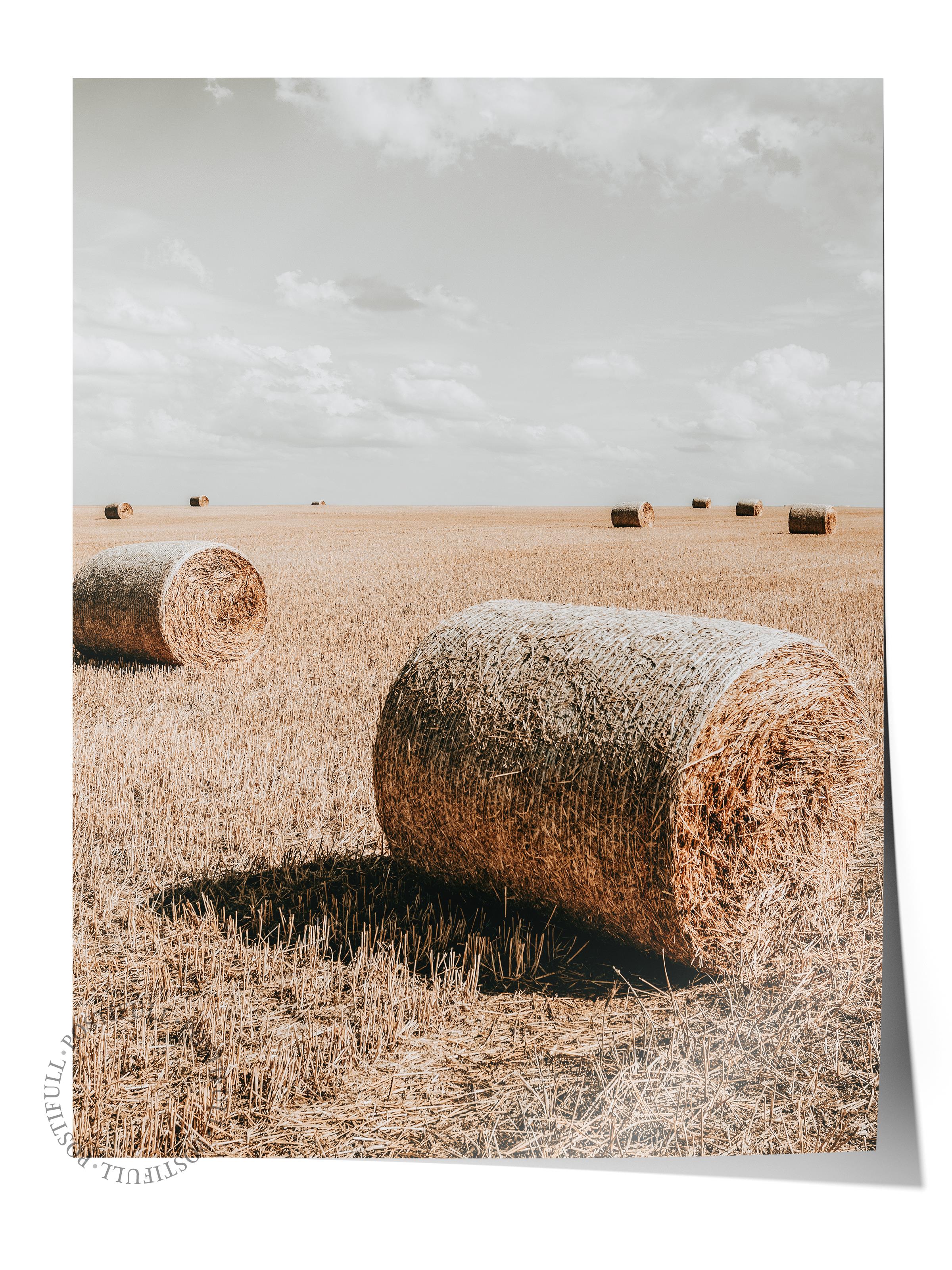 Rustic Çerçevesiz Poster, İskandinav Kahverengi Poster, NO:230 Tarlada Saman Balyası Fotoğraf, Dikey