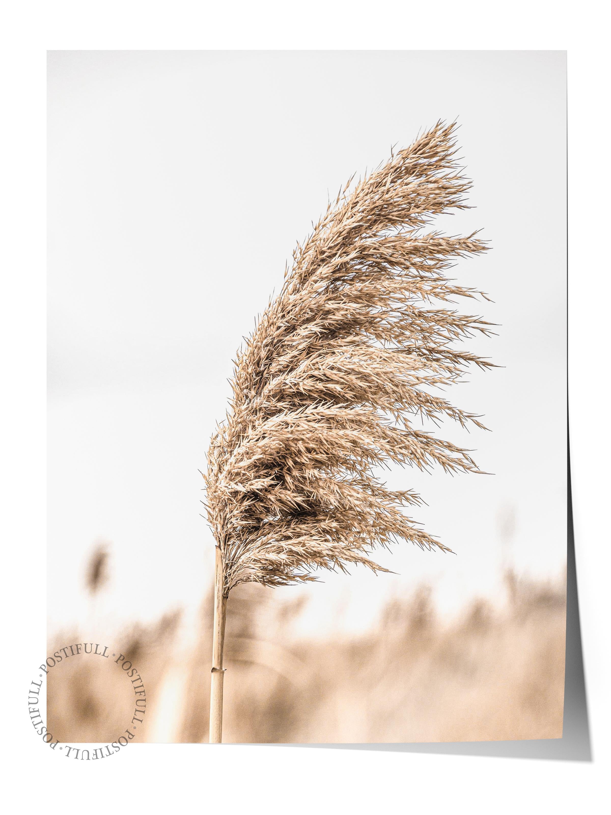 Rustic Çerçevesiz Poster, İskandinav Kahverengi Poster, NO:235 Kamış Fotoğraf, Dikey