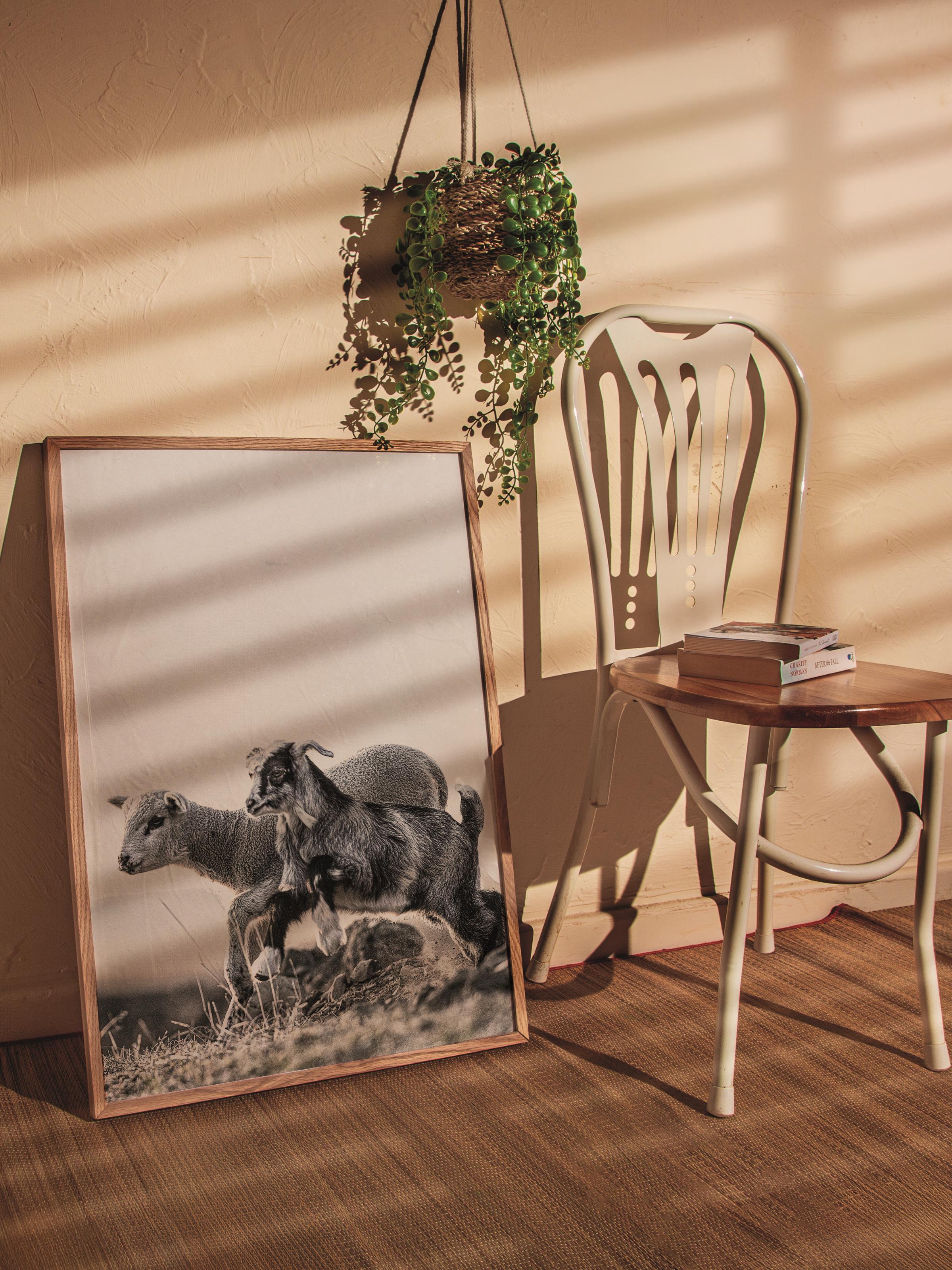 Rustic Çerçevesiz Poster, İskandinav Kahverengi Poster, NO:239 İnekler Fotoğraf, Dikey