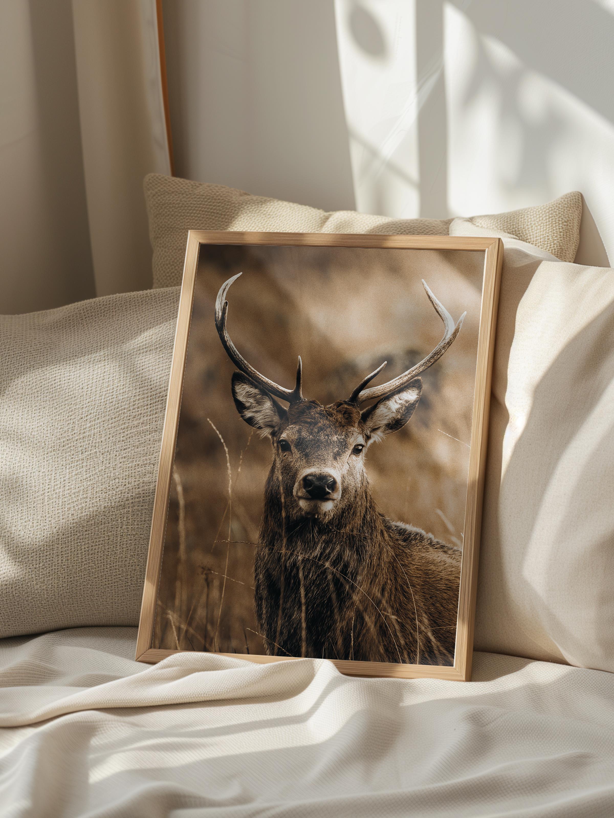 Rustic Çerçevesiz Poster, İskandinav Kahverengi Poster, NO:24 Geyik Portresi Fotoğraf, Dikey