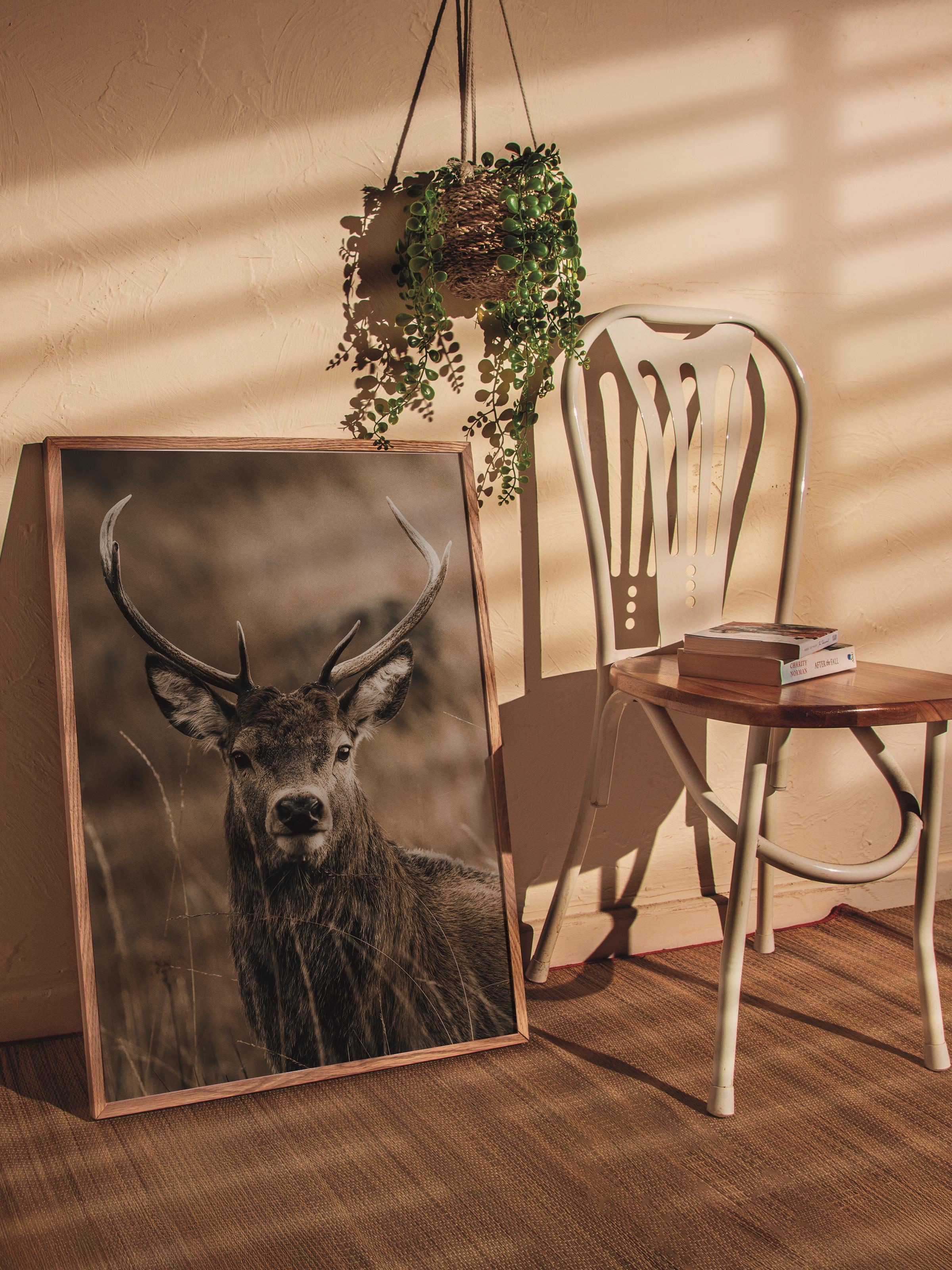 Rustic Çerçevesiz Poster, İskandinav Kahverengi Poster, NO:24 Geyik Portresi Fotoğraf, Dikey
