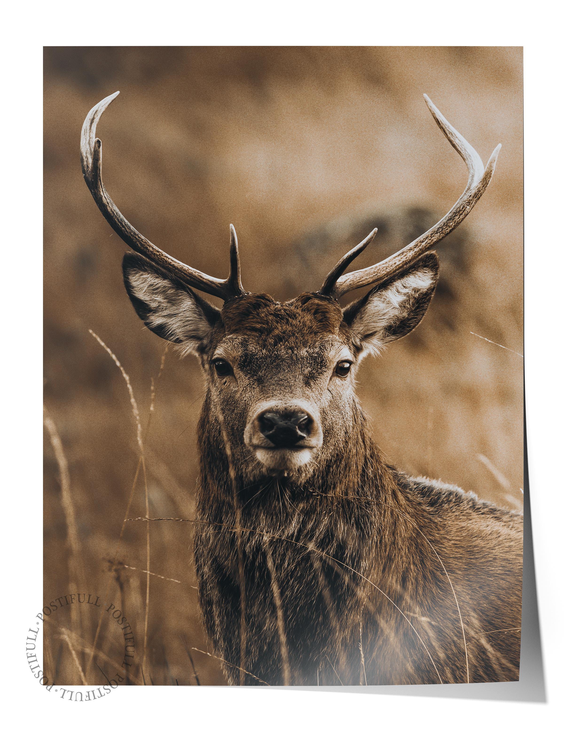 Rustic Çerçevesiz Poster, İskandinav Kahverengi Poster, NO:24 Geyik Portresi Fotoğraf, Dikey