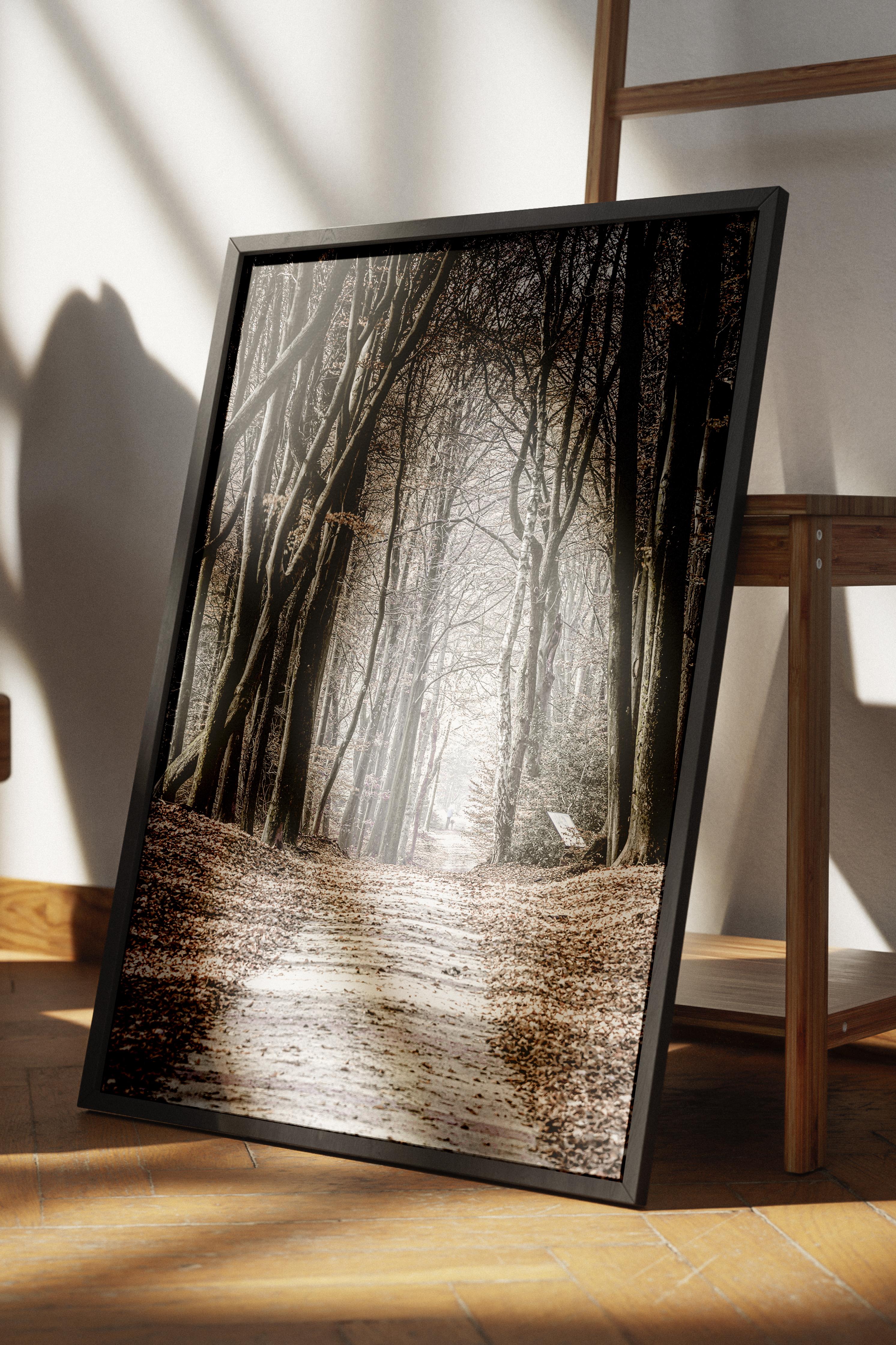 Rustic Çerçevesiz Poster, İskandinav Kahverengi Poster, NO:240 Orman Yolu Fotoğraf, Dikey