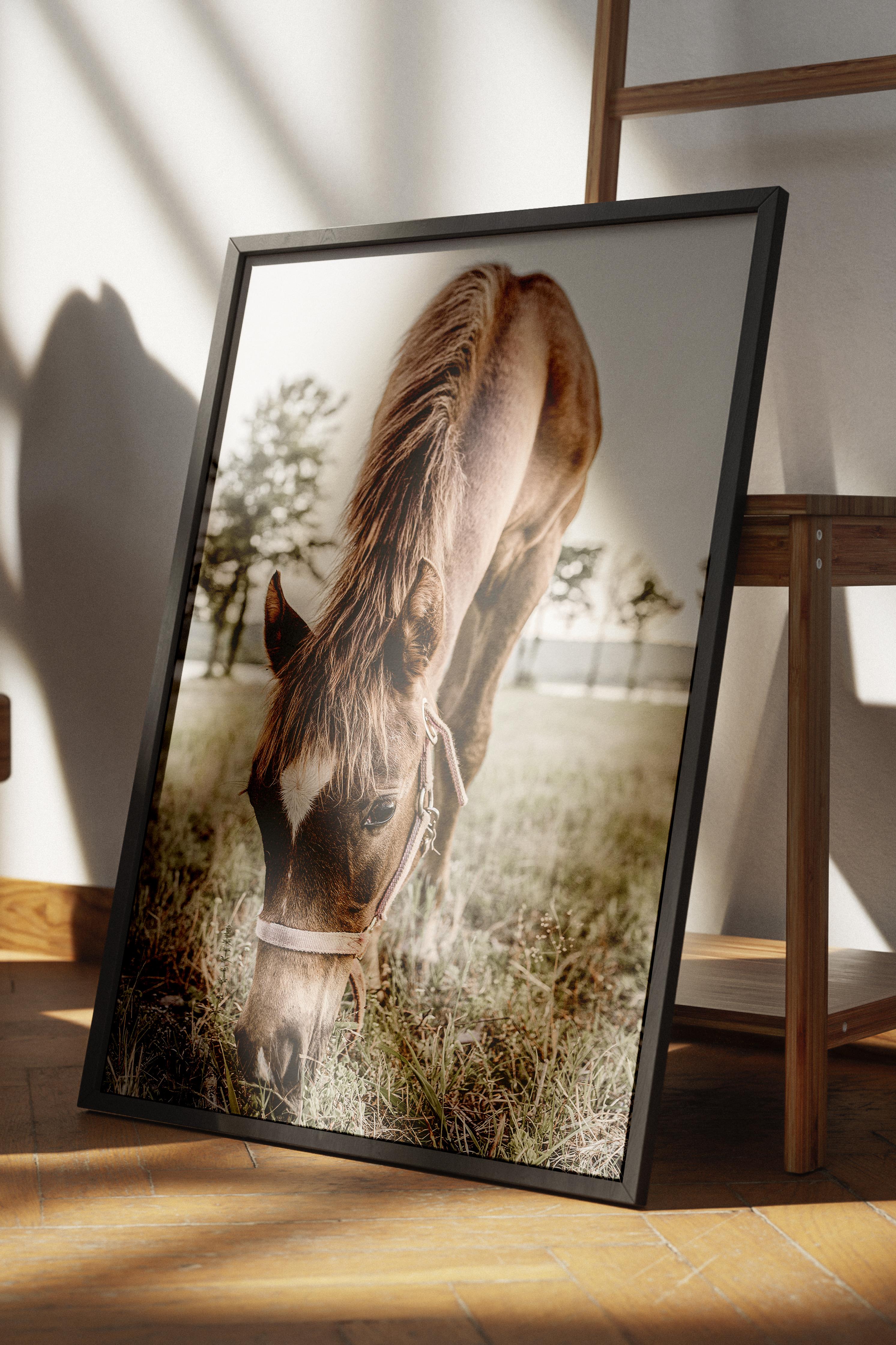 Rustic Çerçevesiz Poster, İskandinav Kahverengi Poster, NO:242 At Fotoğraf, Dikey