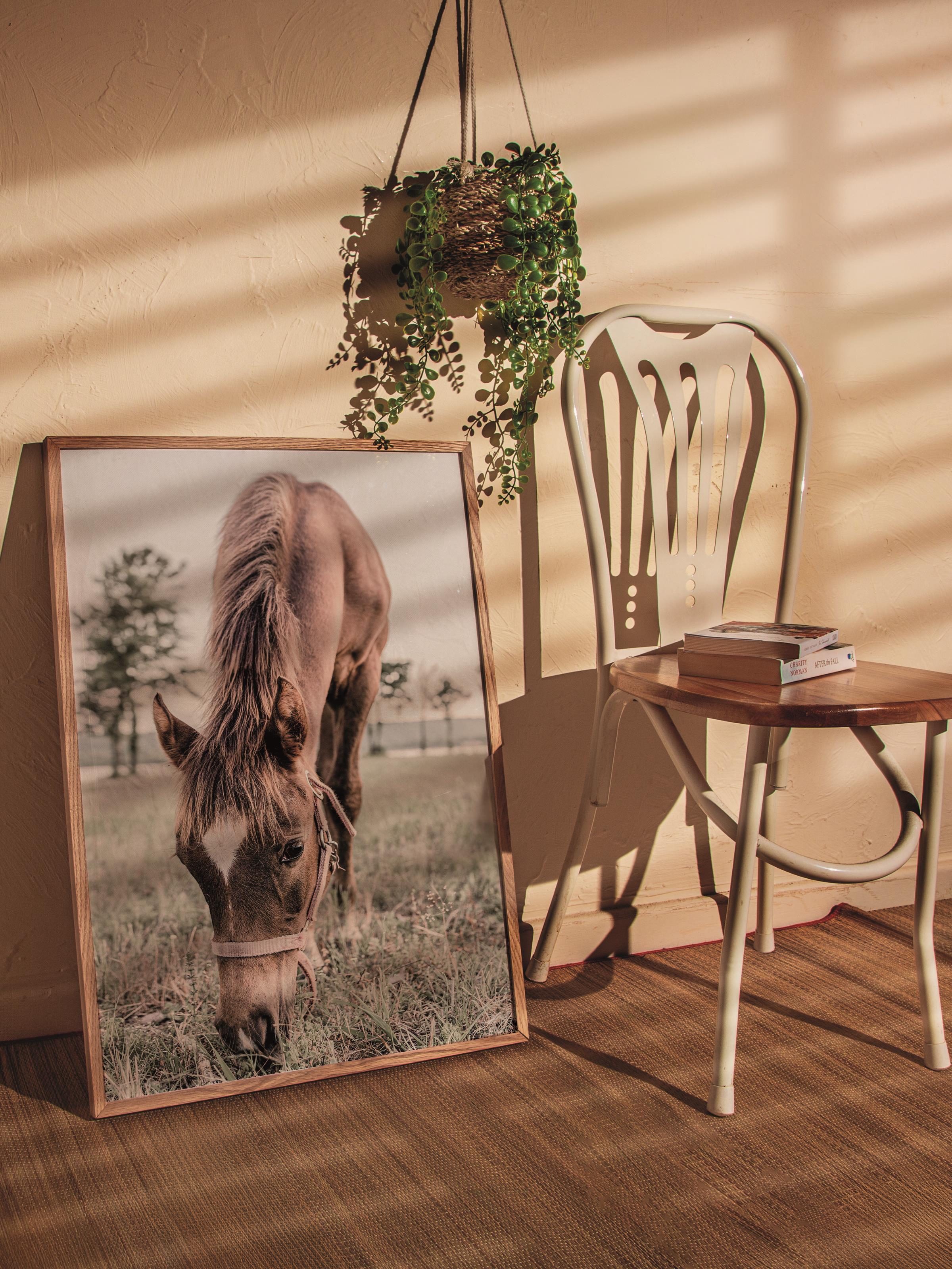 Rustic Çerçevesiz Poster, İskandinav Kahverengi Poster, NO:242 At Fotoğraf, Dikey