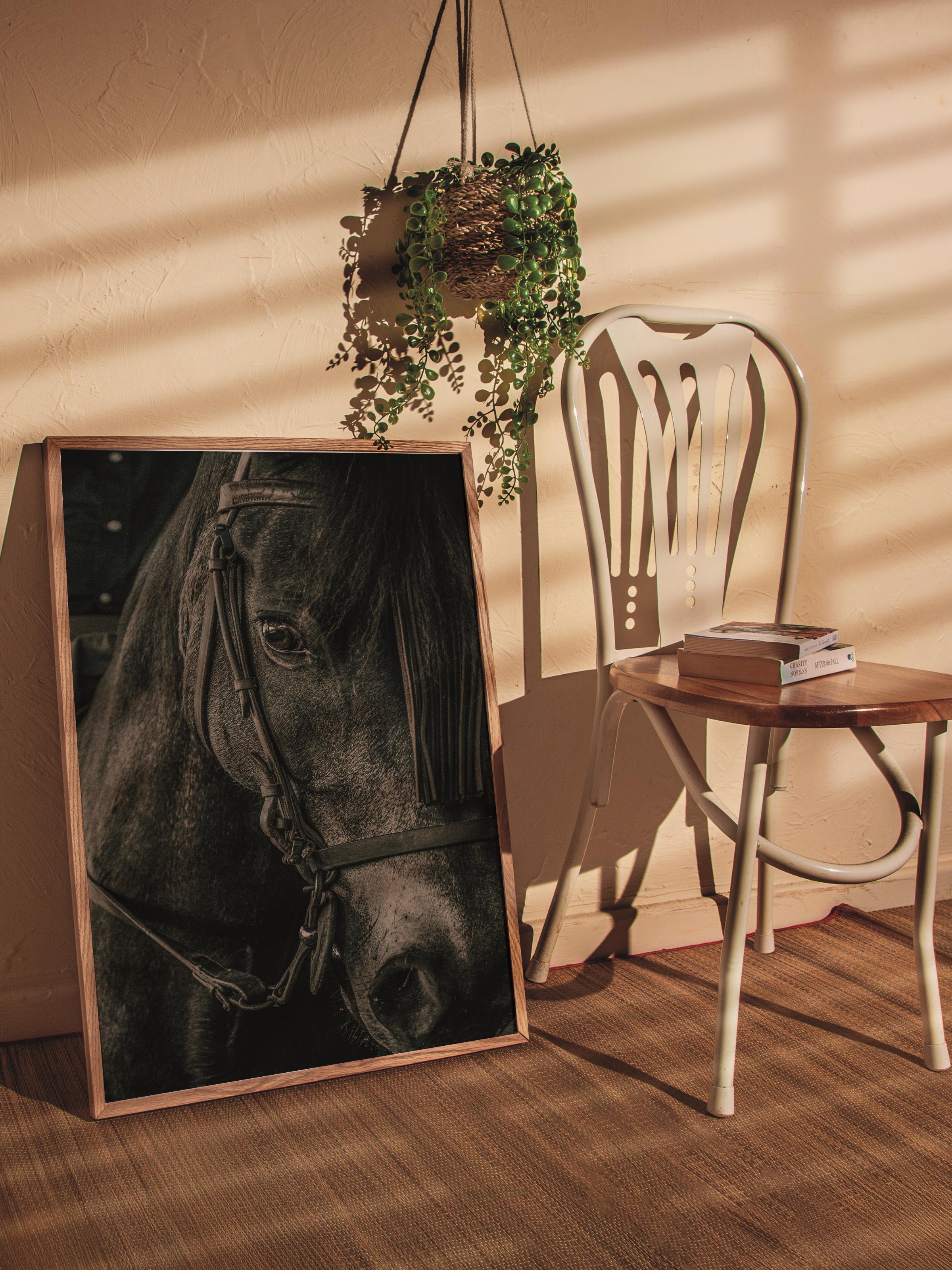 Rustic Çerçevesiz Poster, İskandinav Kahverengi Poster, NO:247 At Yakın Plan Fotoğraf, Dikey