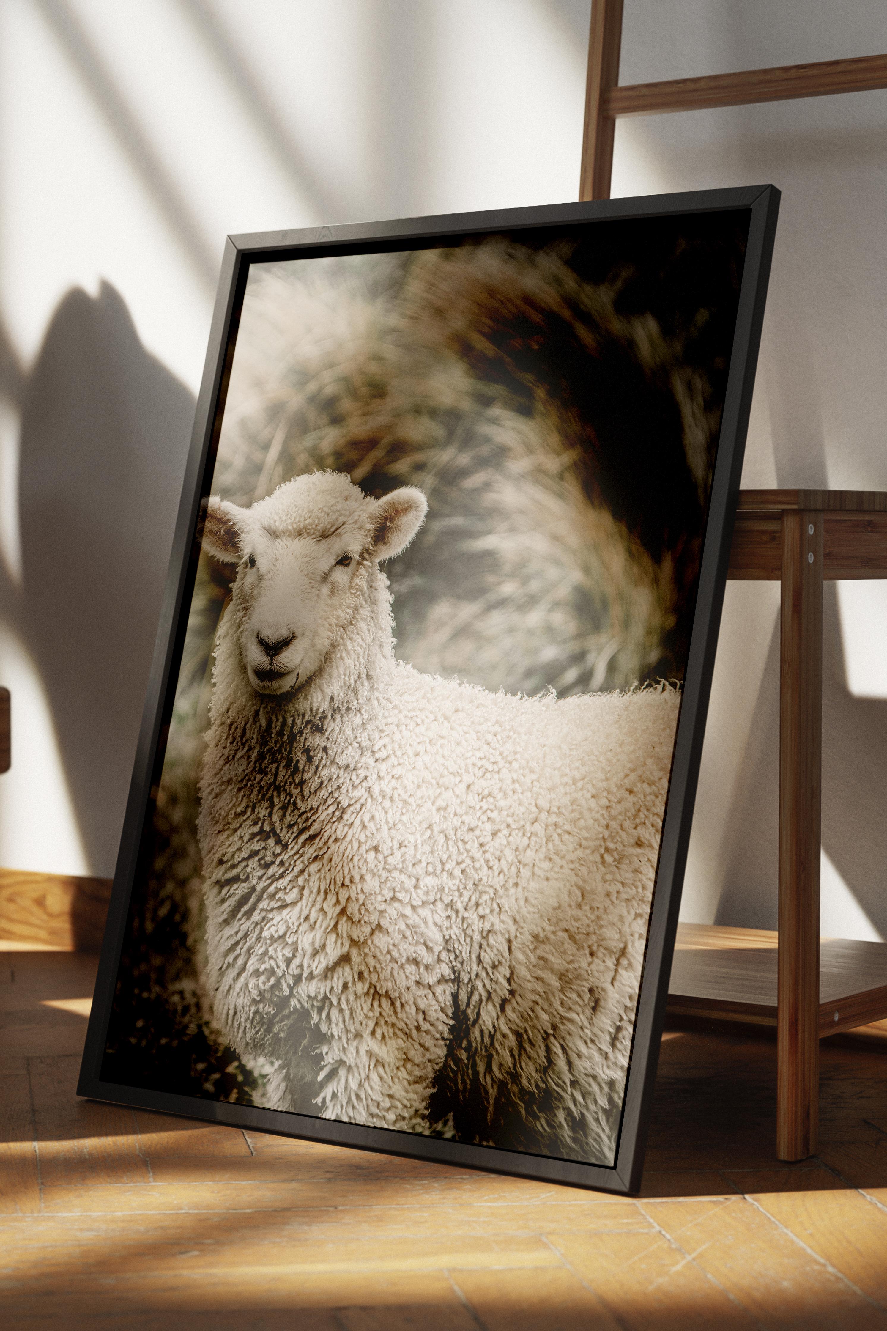Rustic Çerçevesiz Poster, İskandinav Kahverengi Poster, NO:252 Koyun Yakın Plan Fotoğraf, Dikey
