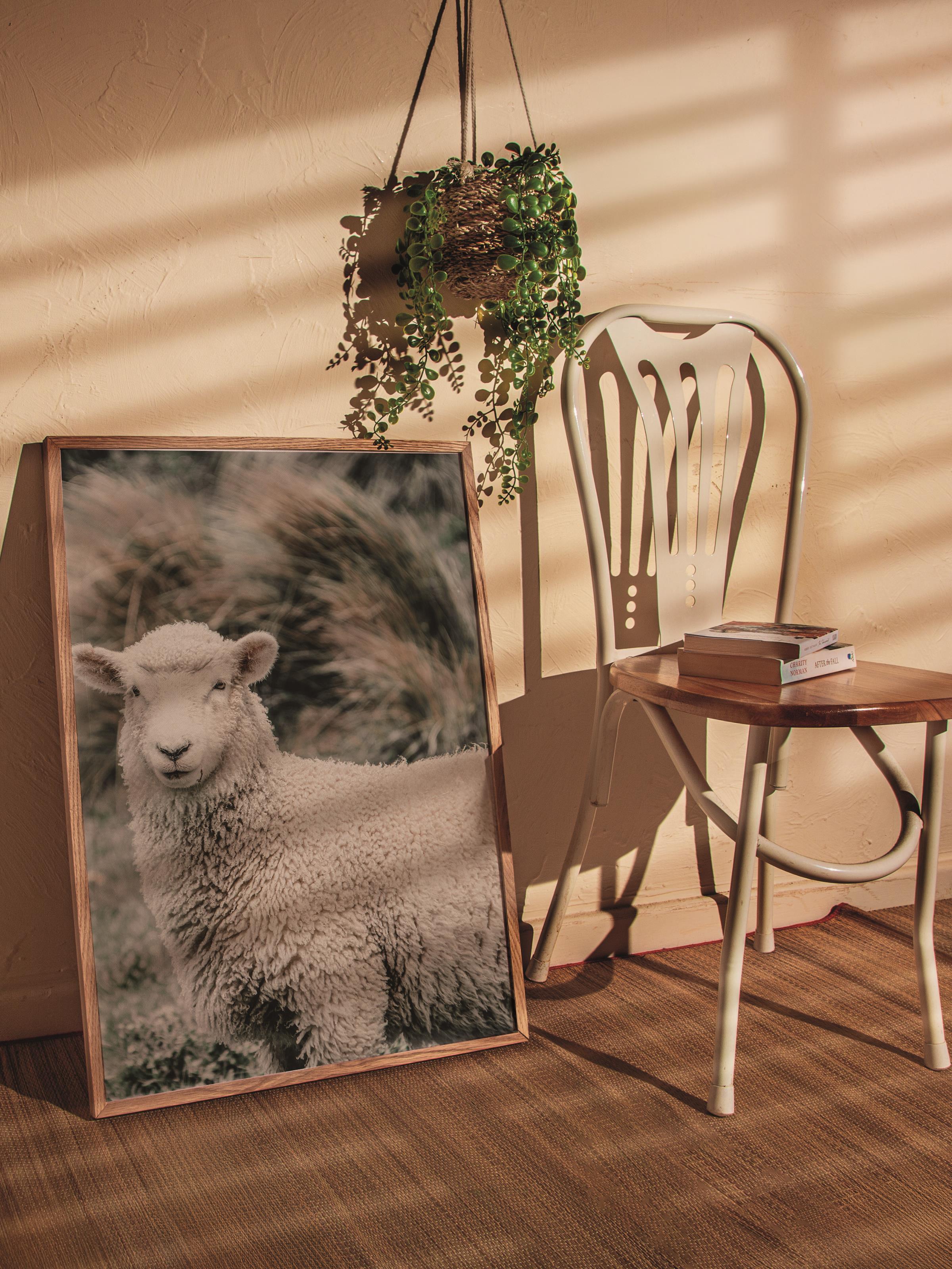 Rustic Çerçevesiz Poster, İskandinav Kahverengi Poster, NO:252 Koyun Yakın Plan Fotoğraf, Dikey
