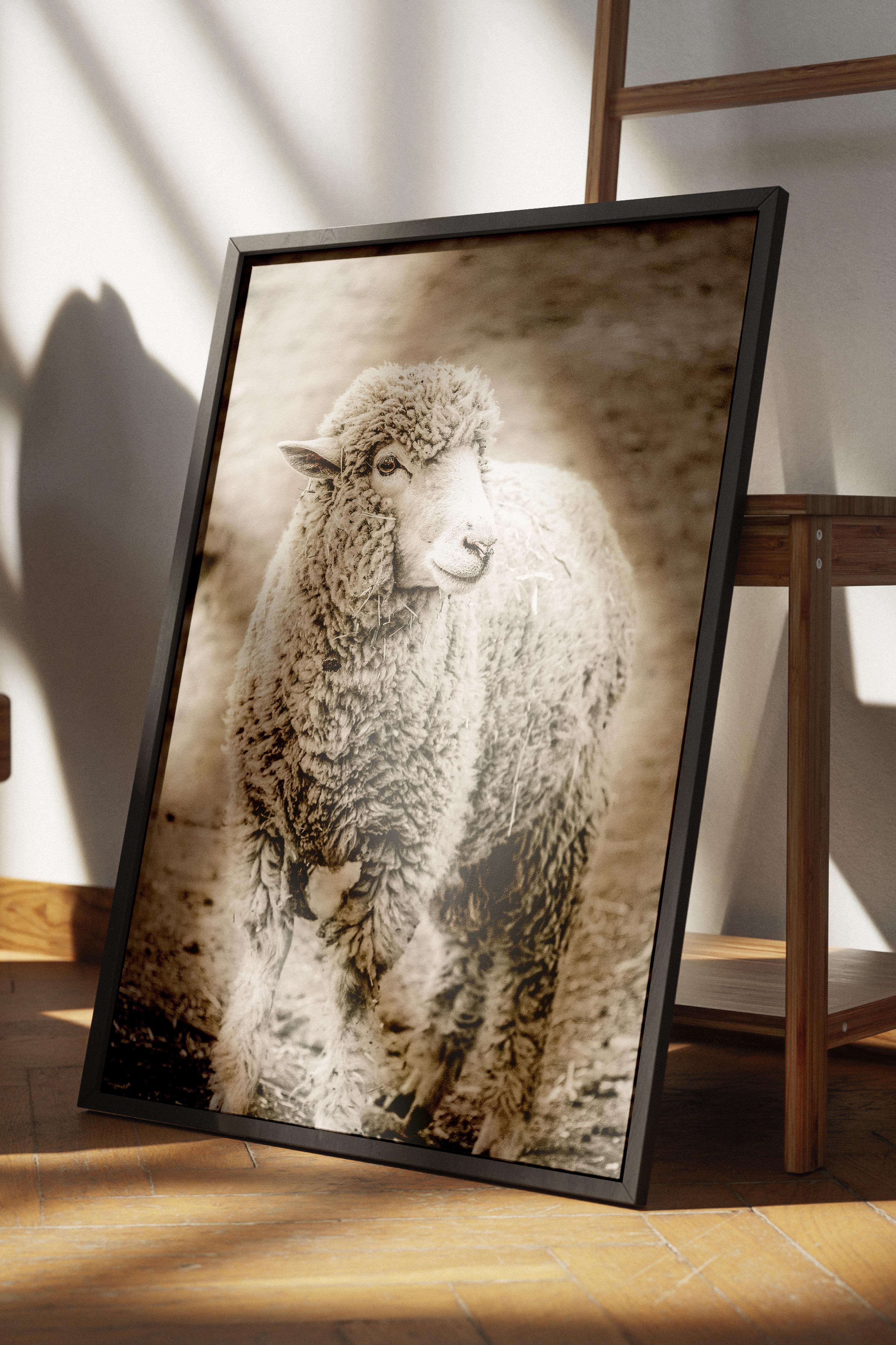 Rustic Çerçevesiz Poster, İskandinav Kahverengi Poster, NO:258 Koyun Yakın Plan Fotoğraf, Dikey