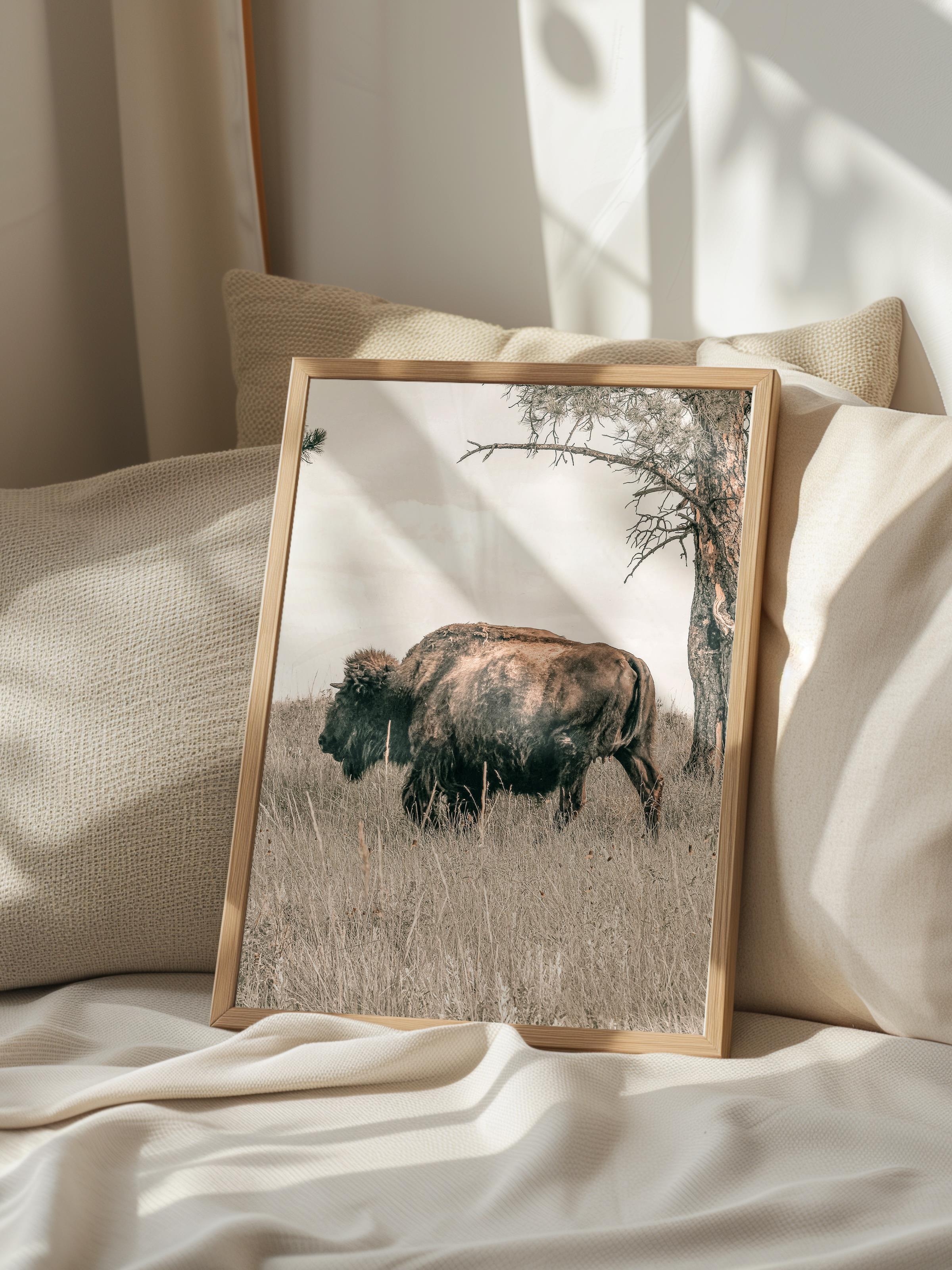 Rustic Çerçevesiz Poster, İskandinav Kahverengi Poster, NO:260 Bufalo Fotoğraf, Dikey