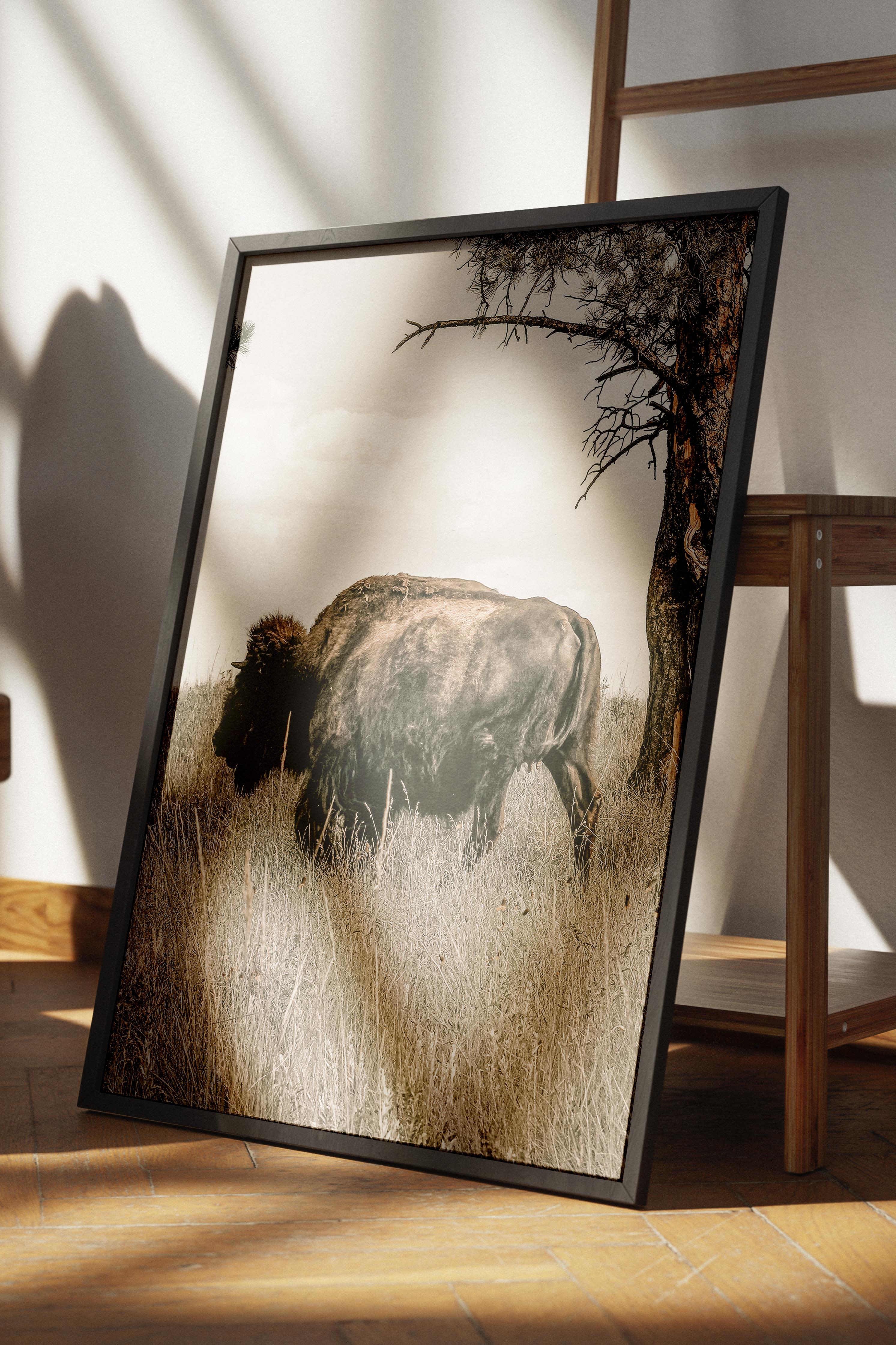 Rustic Çerçevesiz Poster, İskandinav Kahverengi Poster, NO:260 Bufalo Fotoğraf, Dikey