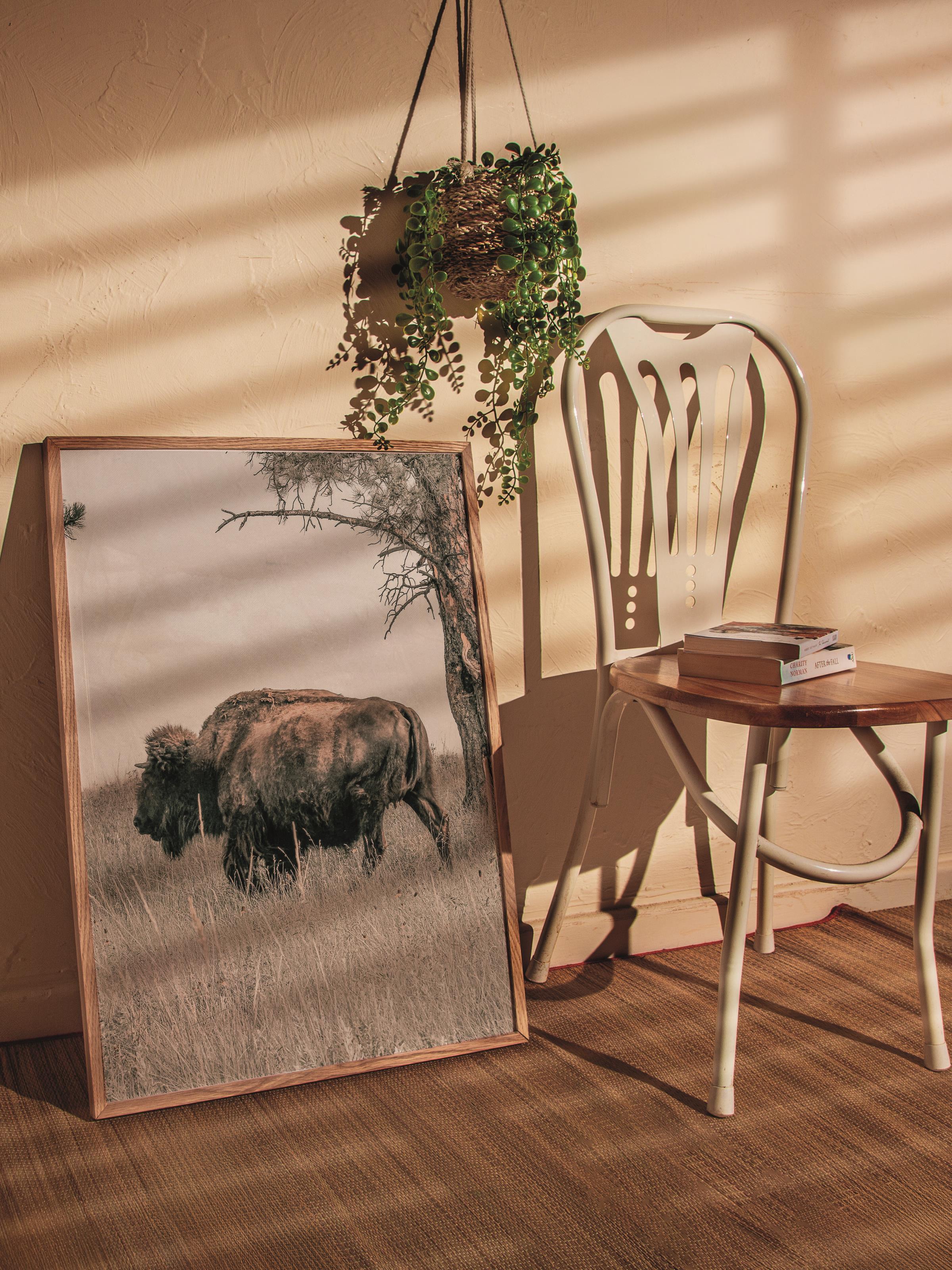 Rustic Çerçevesiz Poster, İskandinav Kahverengi Poster, NO:260 Bufalo Fotoğraf, Dikey
