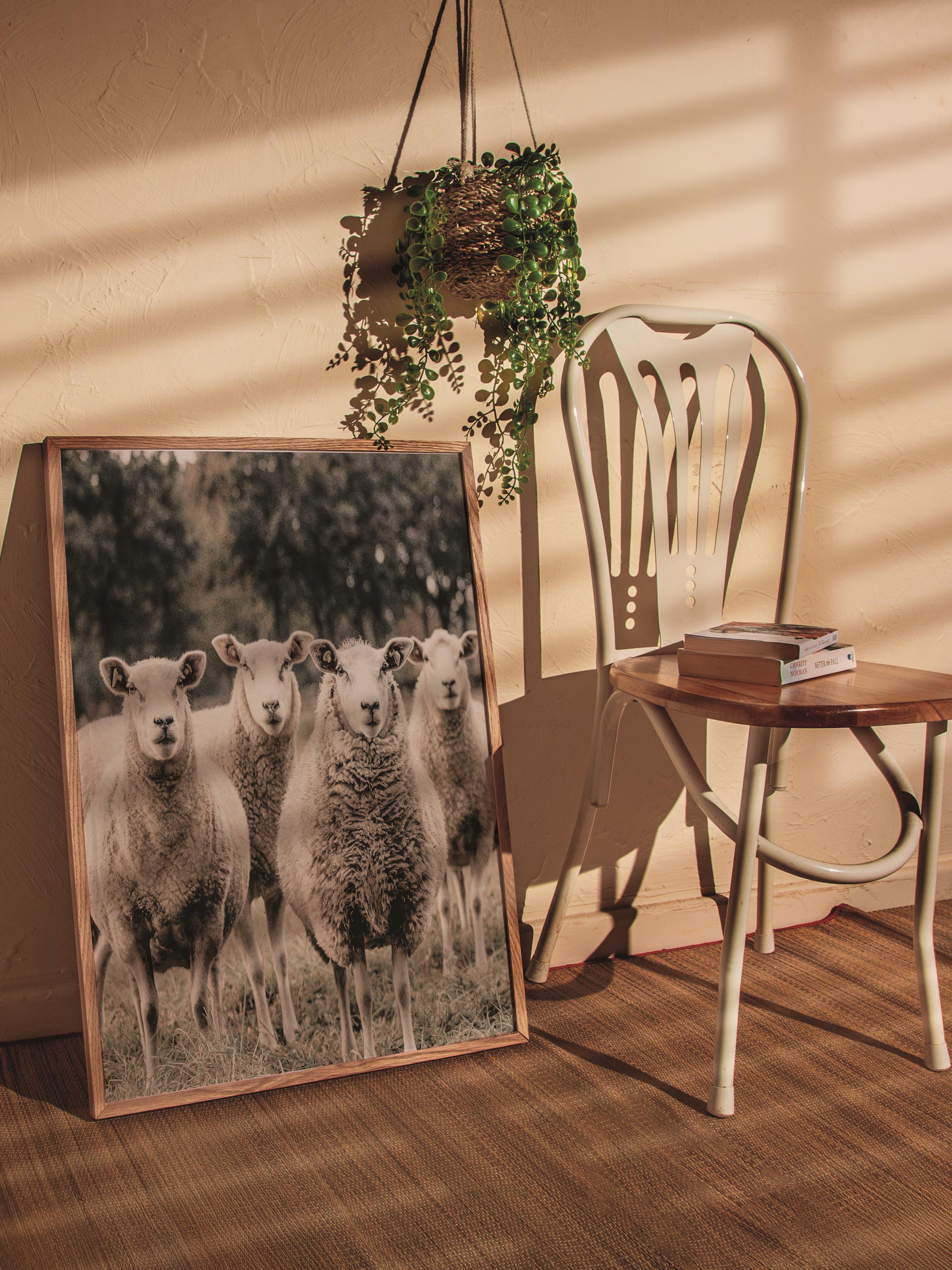 Rustic Çerçevesiz Poster, İskandinav Kahverengi Poster, NO:264 Koyunlar Fotoğraf, Dikey