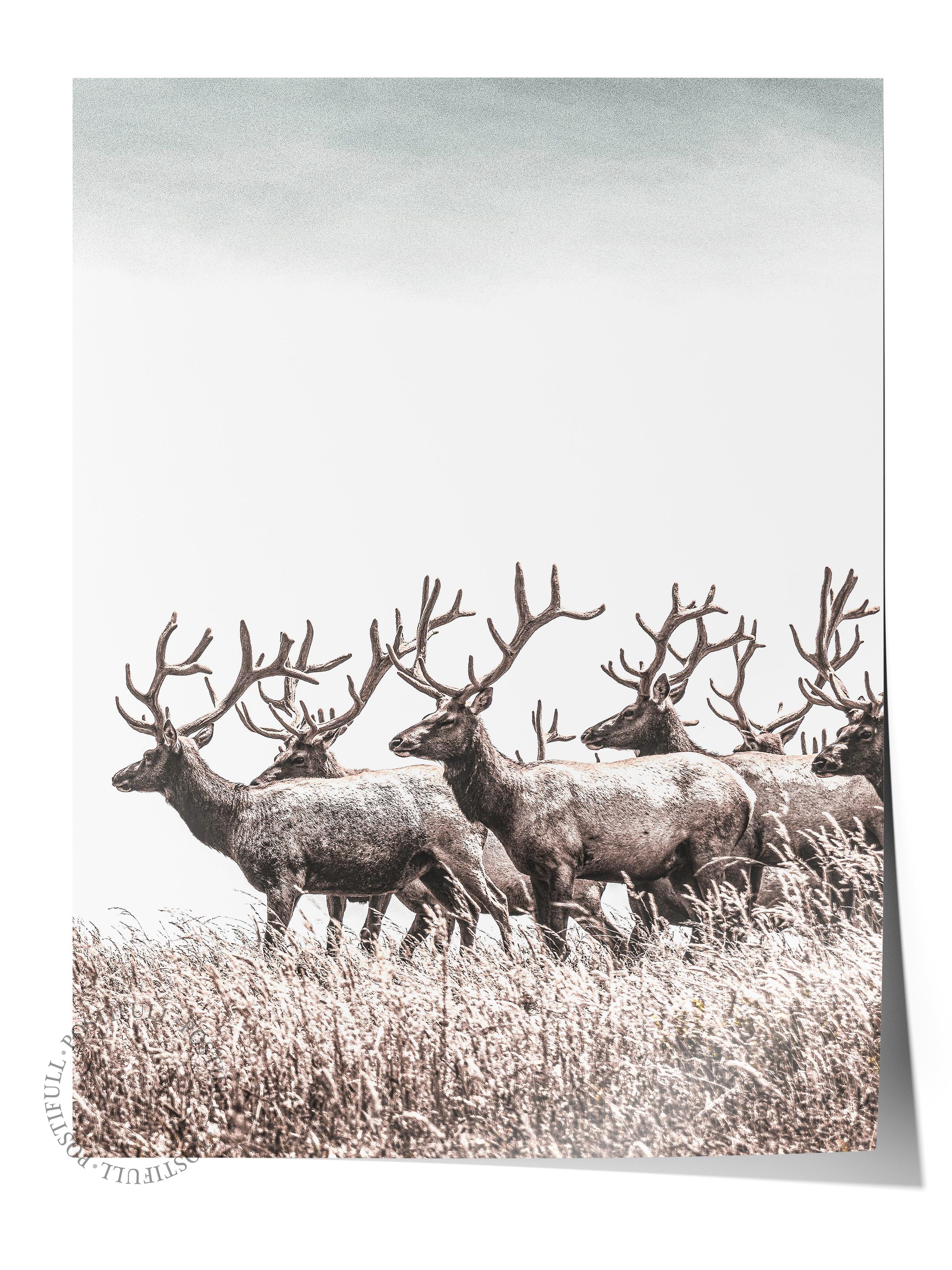 Rustic Çerçevesiz Poster, İskandinav Kahverengi Poster, NO:271 Geyikler Fotoğraf, Dikey