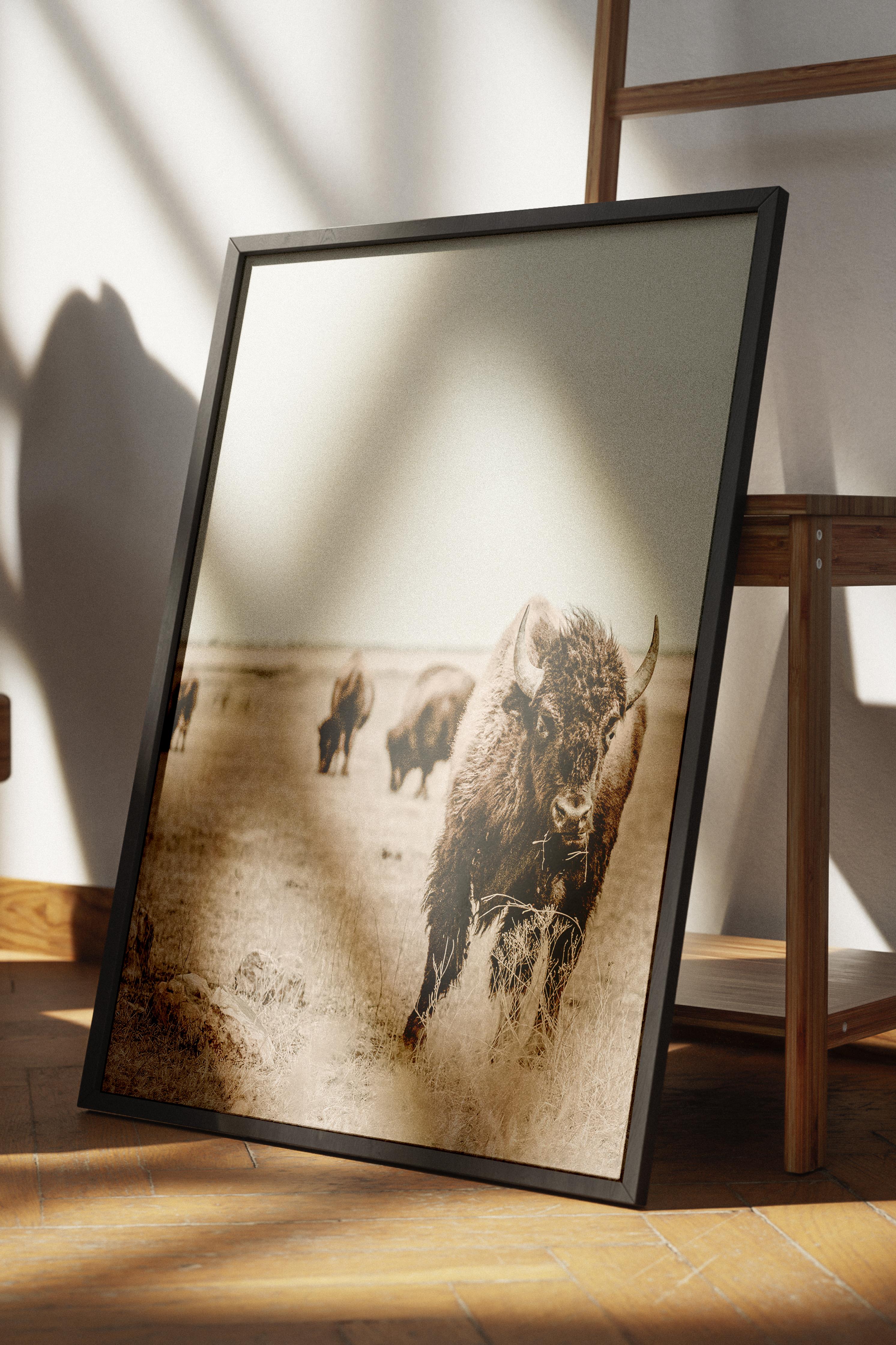 Rustic Çerçevesiz Poster, İskandinav Kahverengi Poster, NO:277 Bufalo Fotoğraf, Dikey