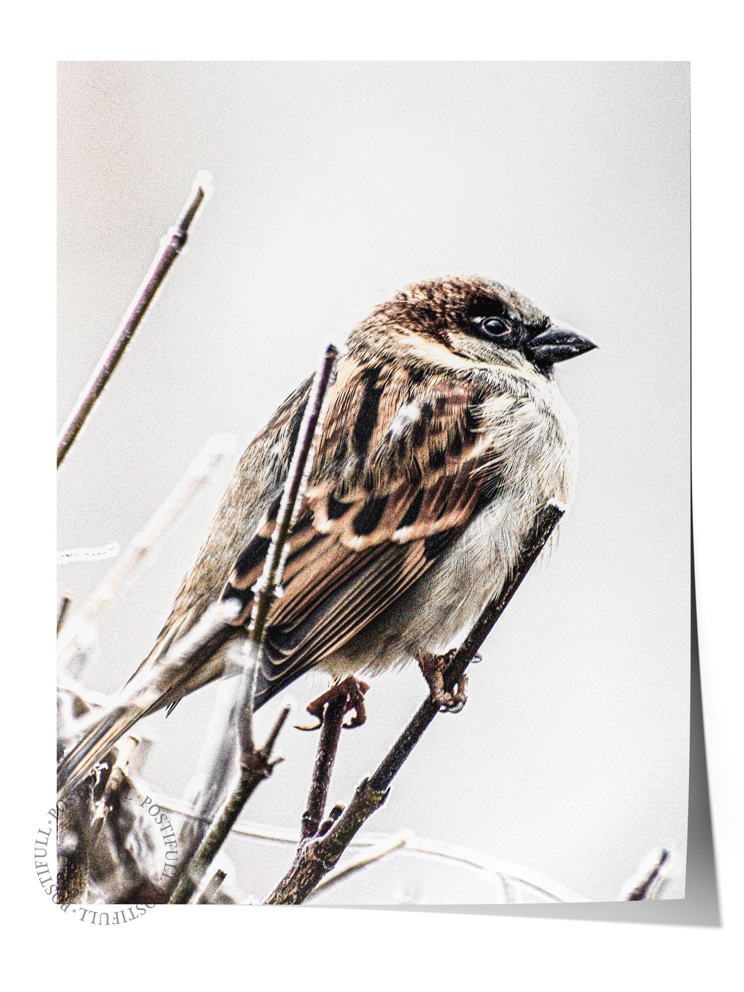 Rustic Çerçevesiz Poster, İskandinav Kahverengi Poster, NO:280 Kuş Fotoğraf, Dikey