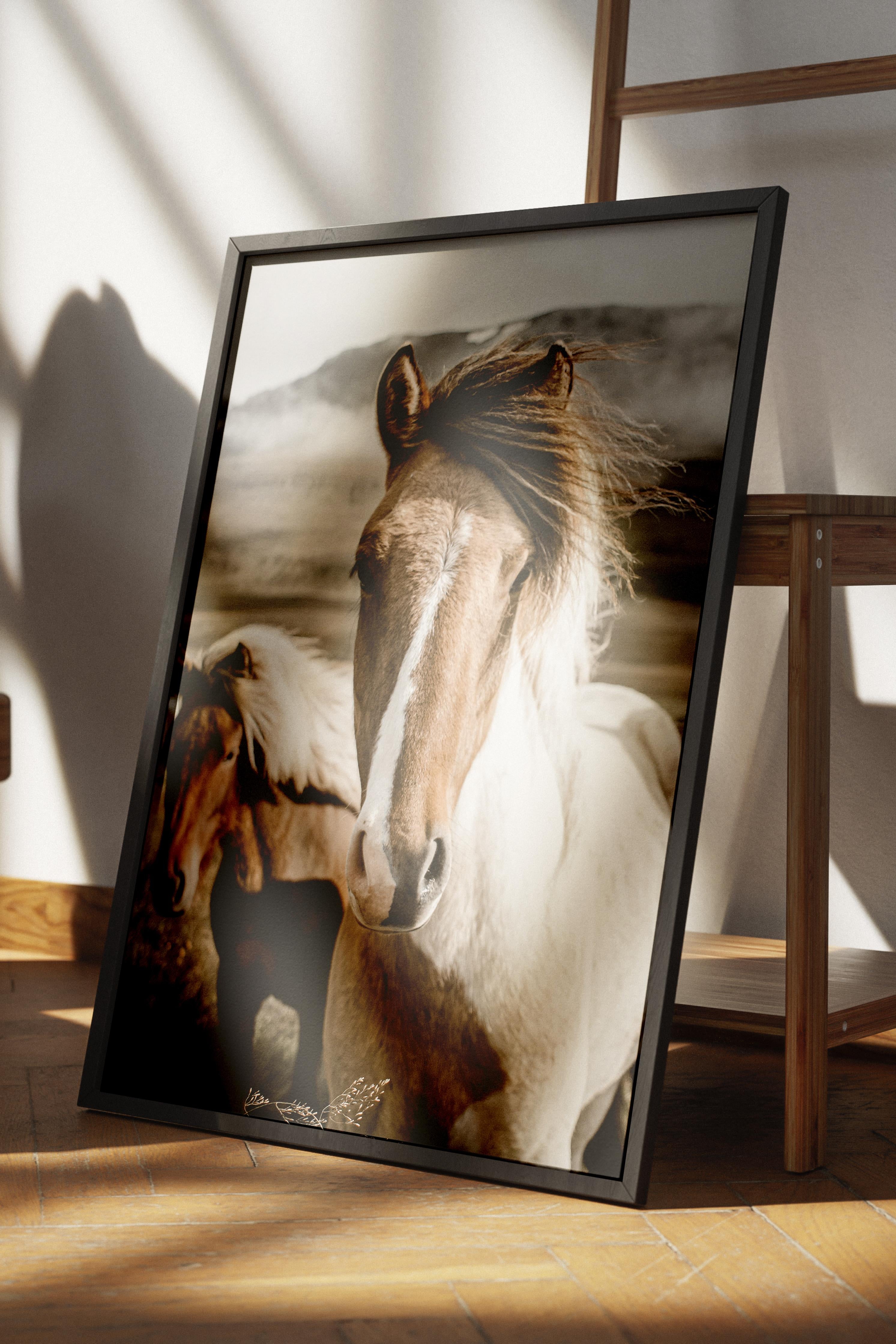 Rustic Çerçevesiz Poster, İskandinav Kahverengi Poster, NO:282 Atlar Fotoğraf, Dikey