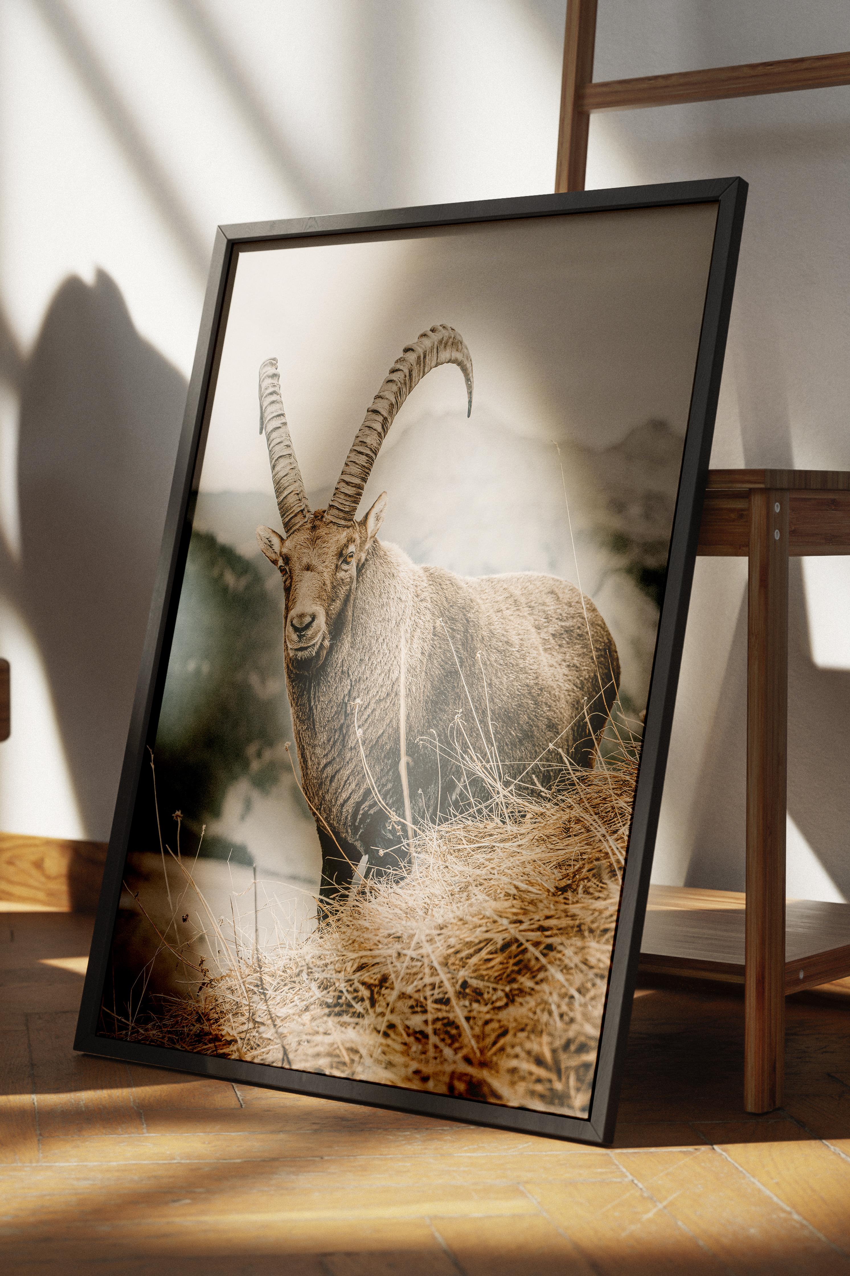 Rustic Çerçevesiz Poster, İskandinav Kahverengi Poster, NO:283 Keçi Fotoğraf, Dikey