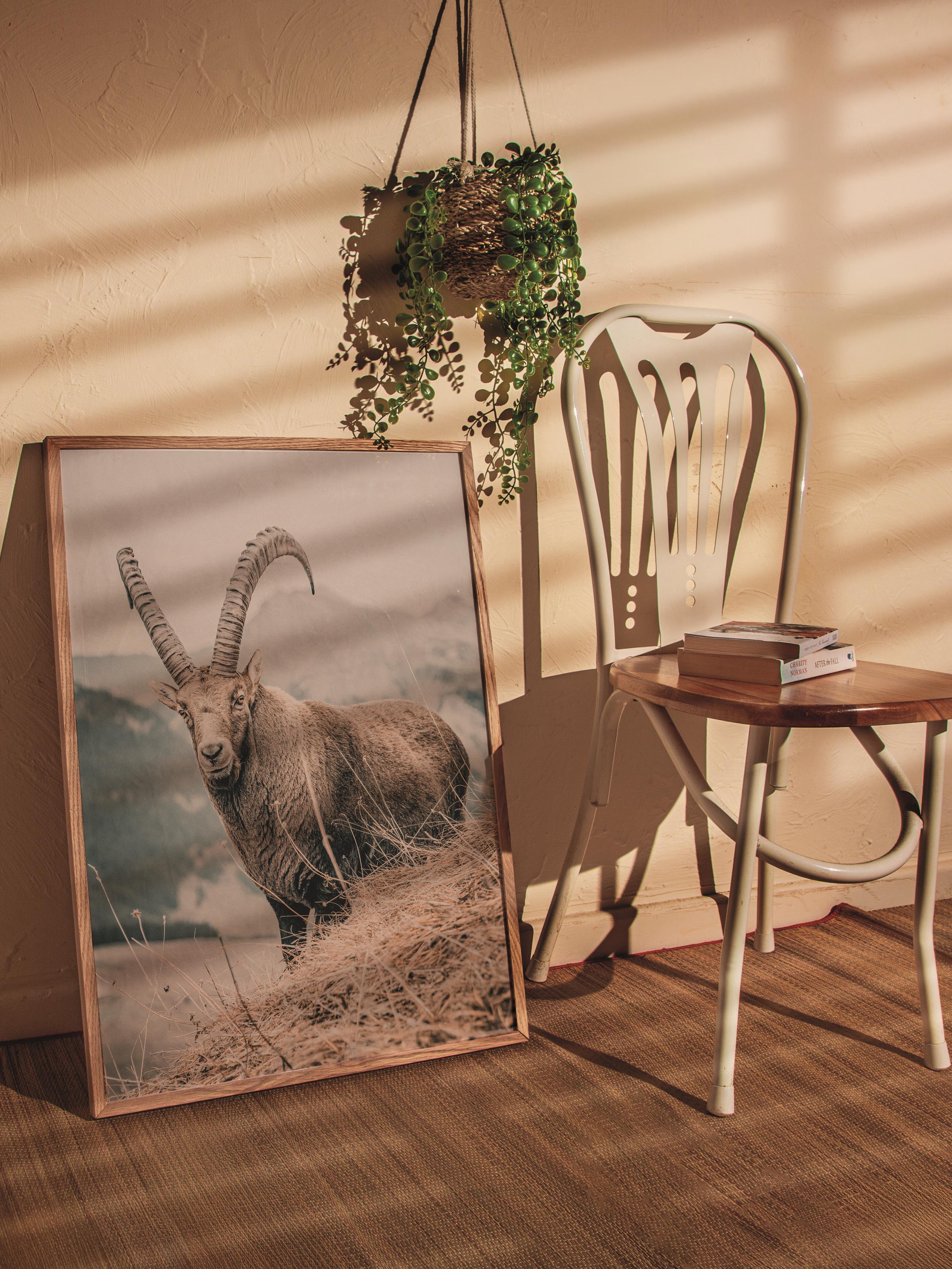 Rustic Çerçevesiz Poster, İskandinav Kahverengi Poster, NO:283 Keçi Fotoğraf, Dikey