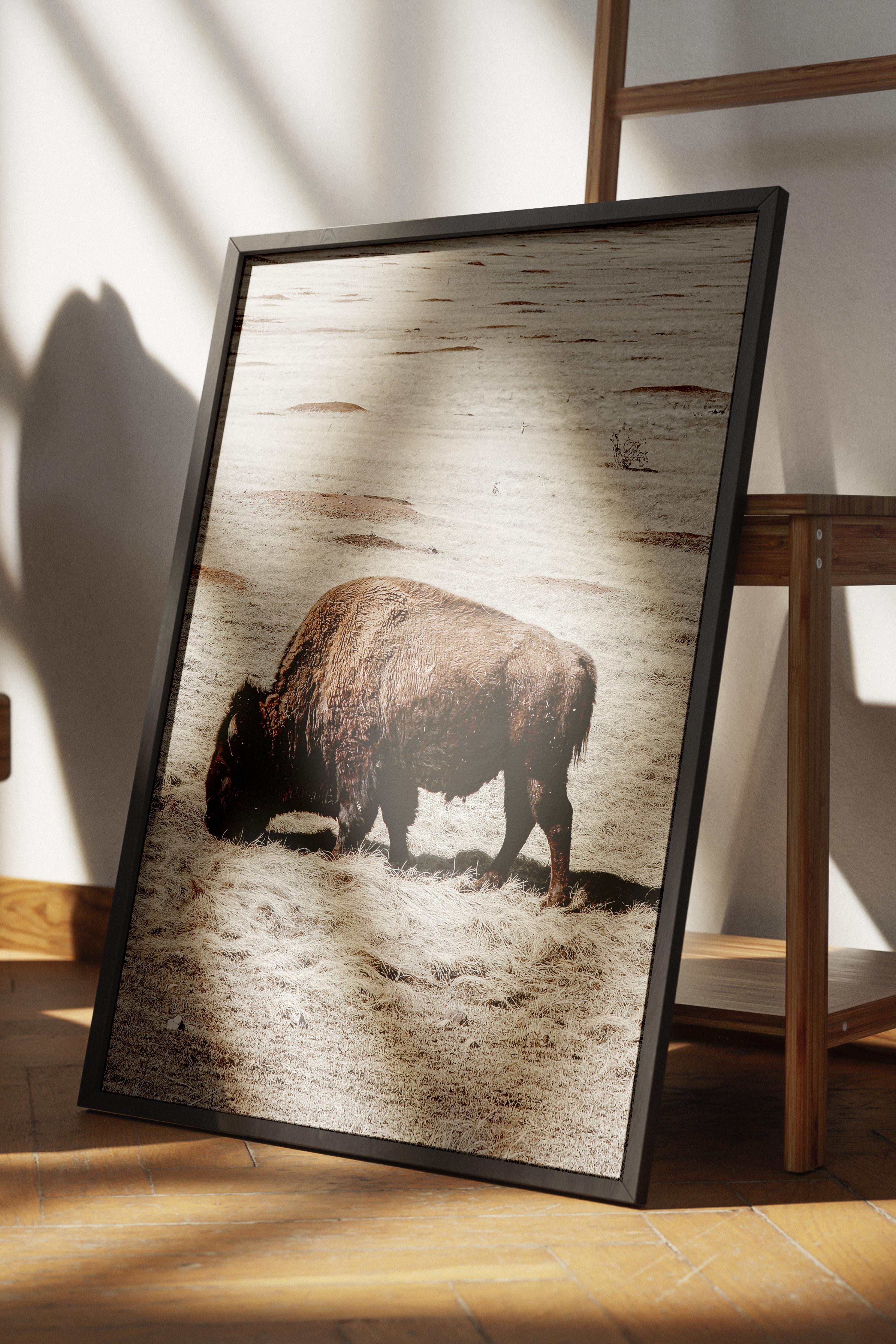 Rustic Çerçevesiz Poster, İskandinav Kahverengi Poster, NO:286 Bufalo Fotoğraf, Dikey