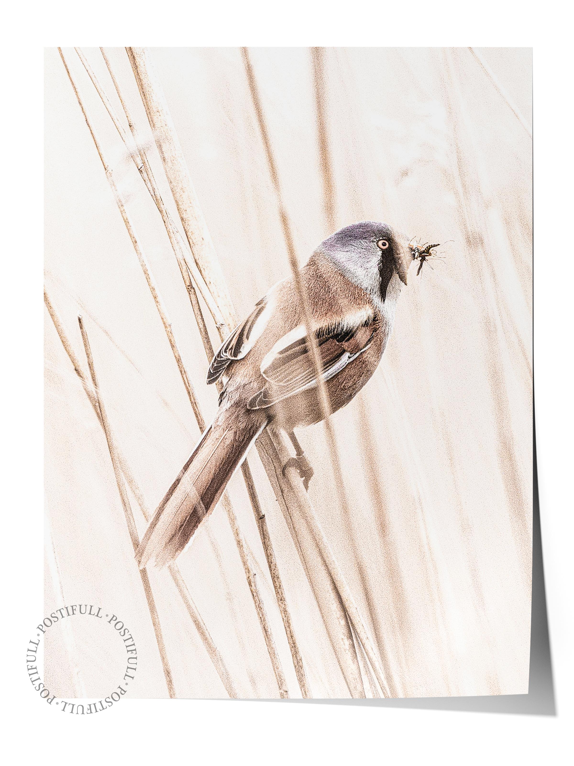 Rustic Çerçevesiz Poster, İskandinav Kahverengi Poster, NO:290 Kuş Fotoğraf, Dikey
