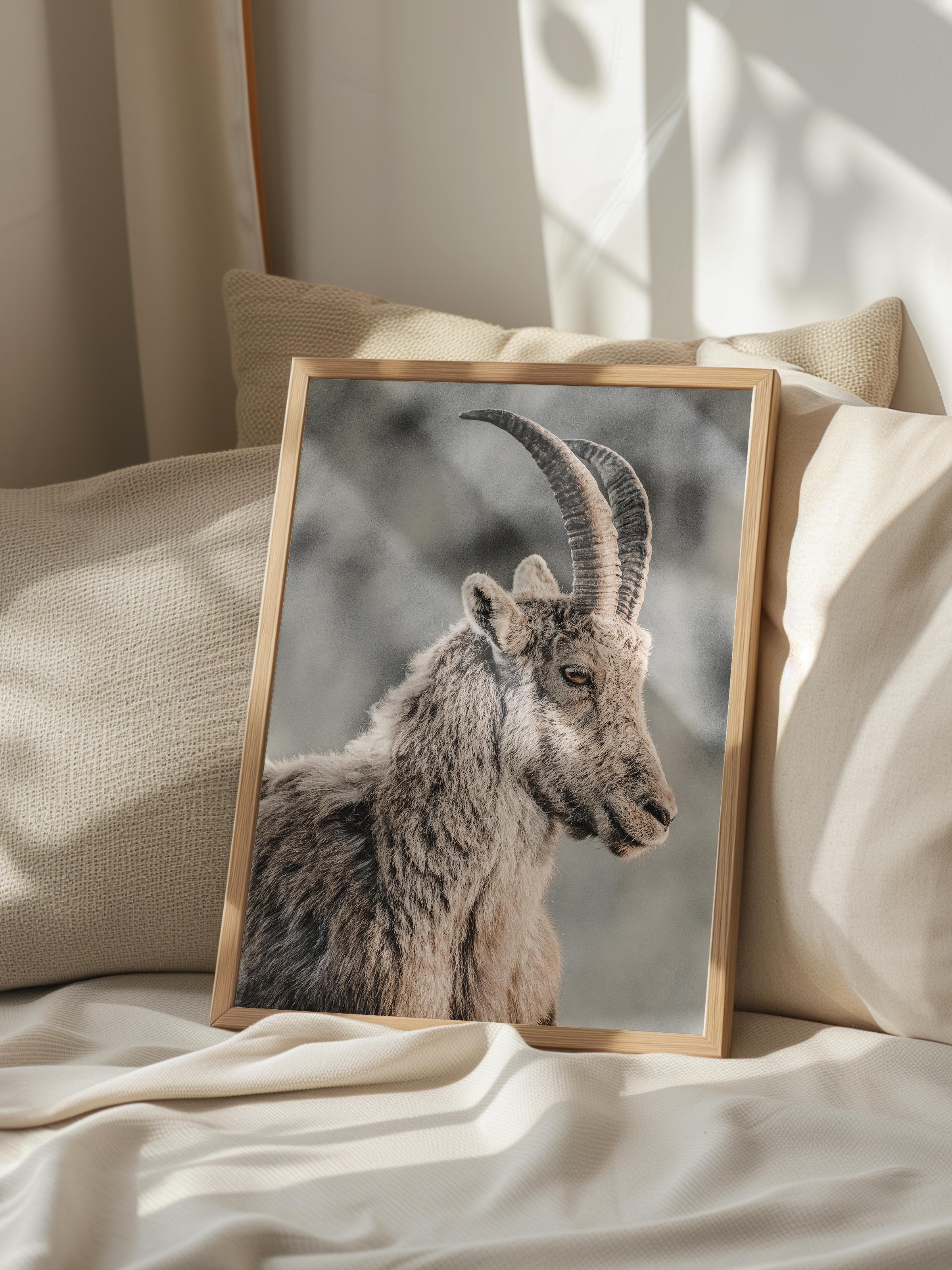 Rustic Çerçevesiz Poster, İskandinav Kahverengi Poster, NO:295 Dağ Keçisi Fotoğraf, Dikey