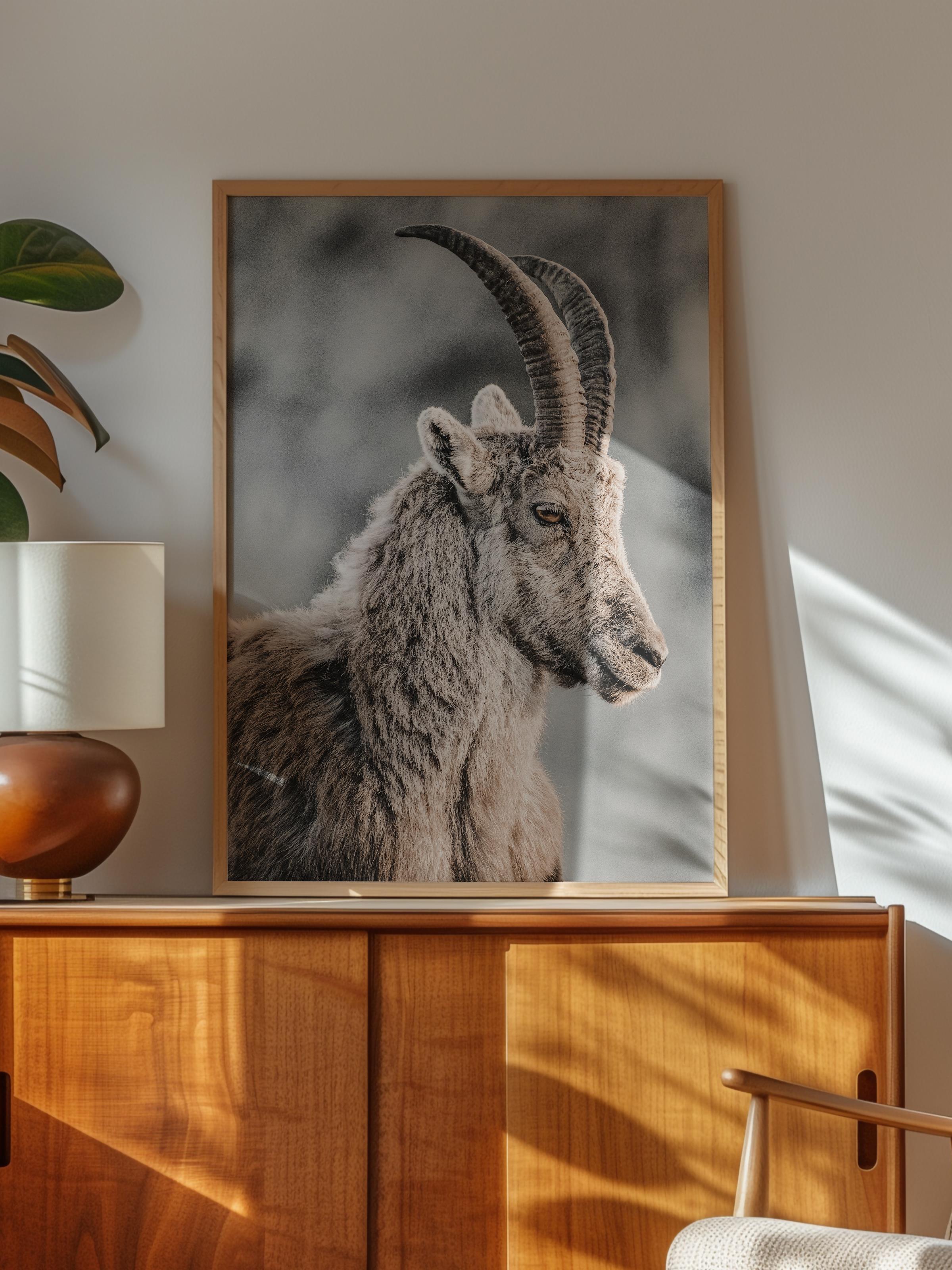 Rustic Çerçevesiz Poster, İskandinav Kahverengi Poster, NO:295 Dağ Keçisi Fotoğraf, Dikey