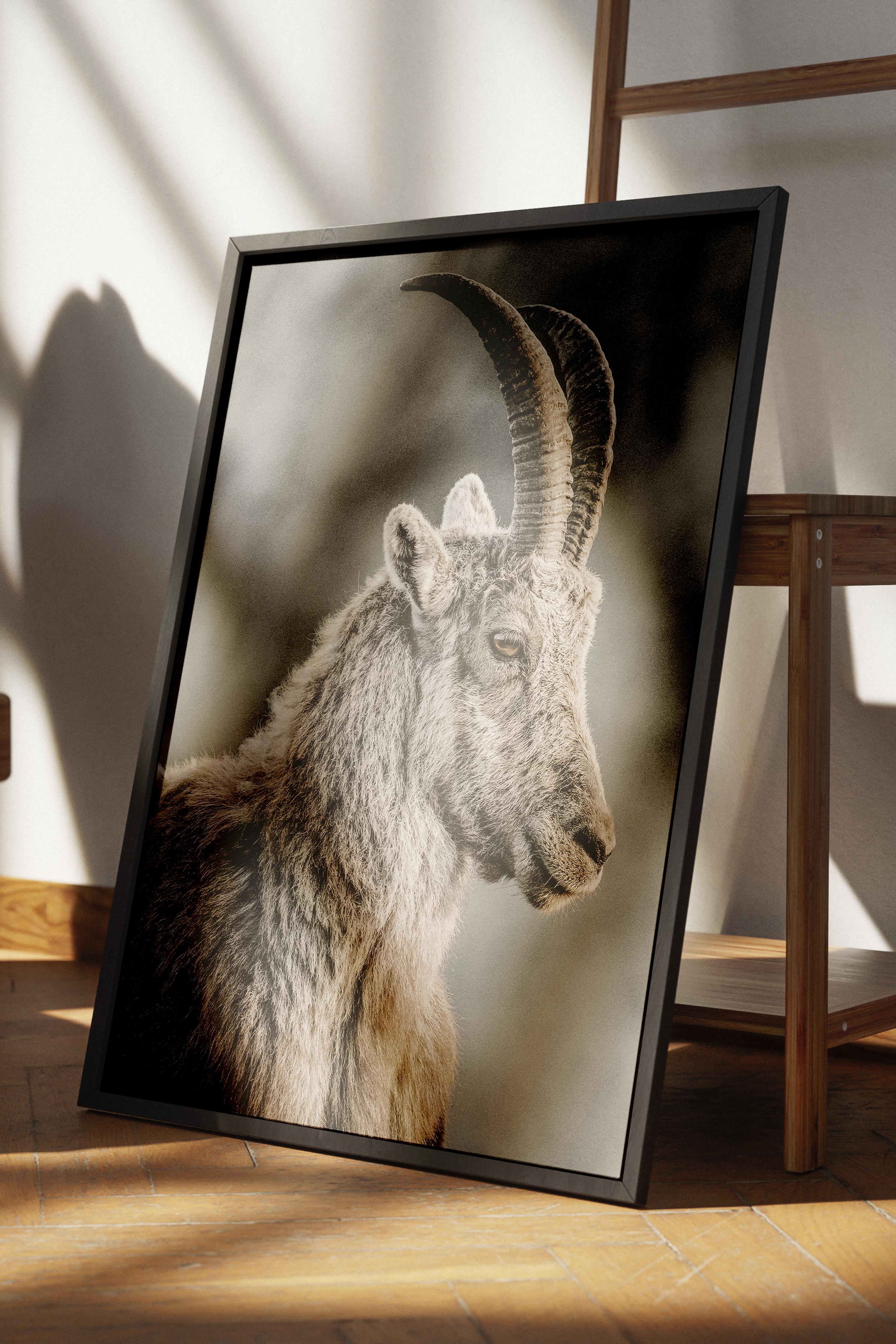 Rustic Çerçevesiz Poster, İskandinav Kahverengi Poster, NO:295 Dağ Keçisi Fotoğraf, Dikey