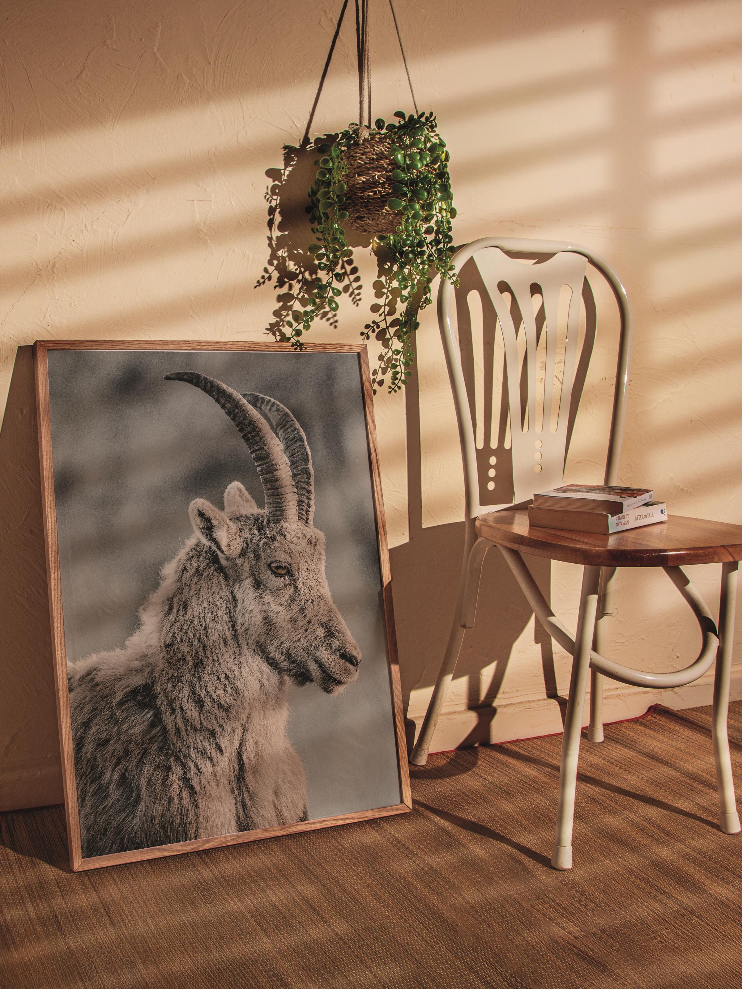 Rustic Çerçevesiz Poster, İskandinav Kahverengi Poster, NO:295 Dağ Keçisi Fotoğraf, Dikey