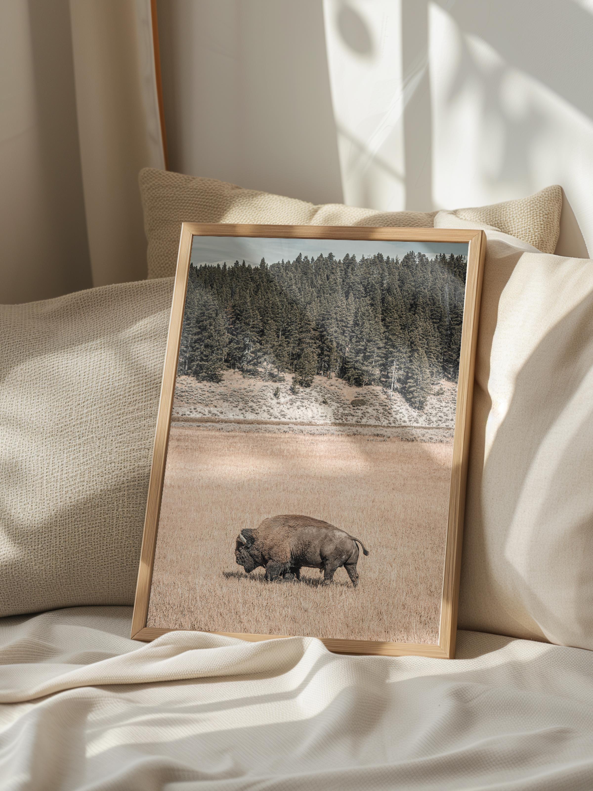 Rustic Çerçevesiz Poster, İskandinav Kahverengi Poster, NO:303 Bufalo Fotoğraf, Dikey