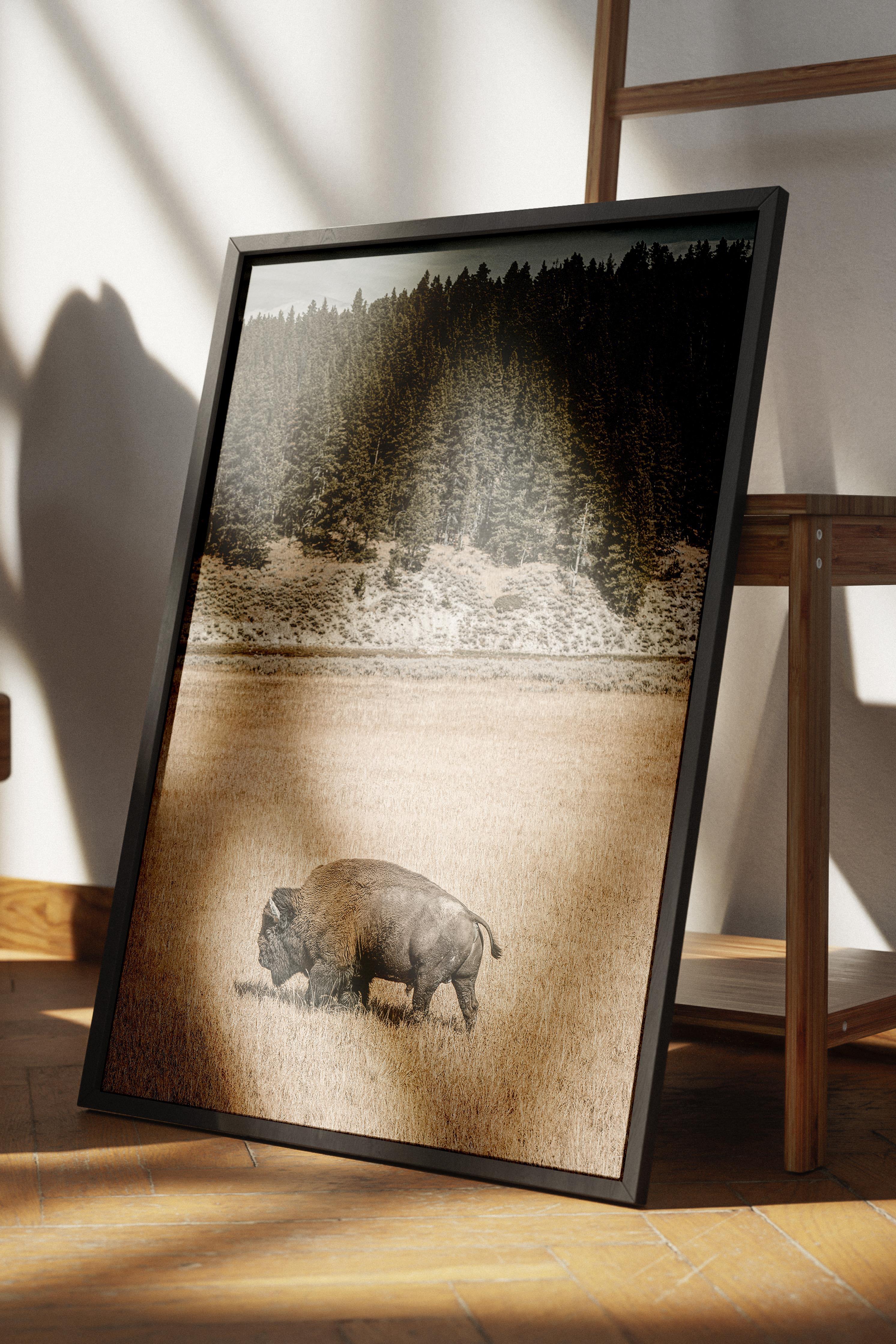 Rustic Çerçevesiz Poster, İskandinav Kahverengi Poster, NO:303 Bufalo Fotoğraf, Dikey
