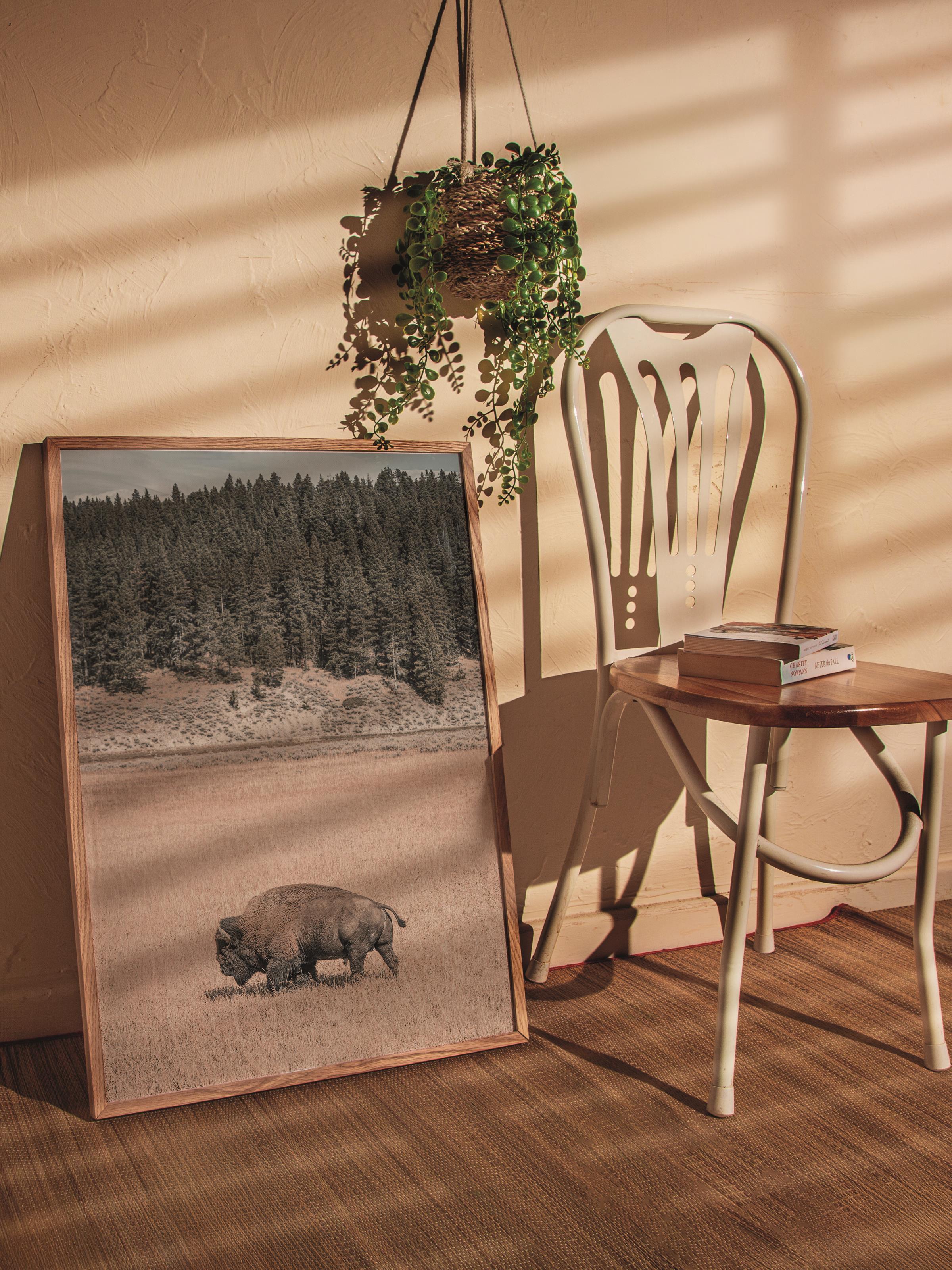 Rustic Çerçevesiz Poster, İskandinav Kahverengi Poster, NO:303 Bufalo Fotoğraf, Dikey