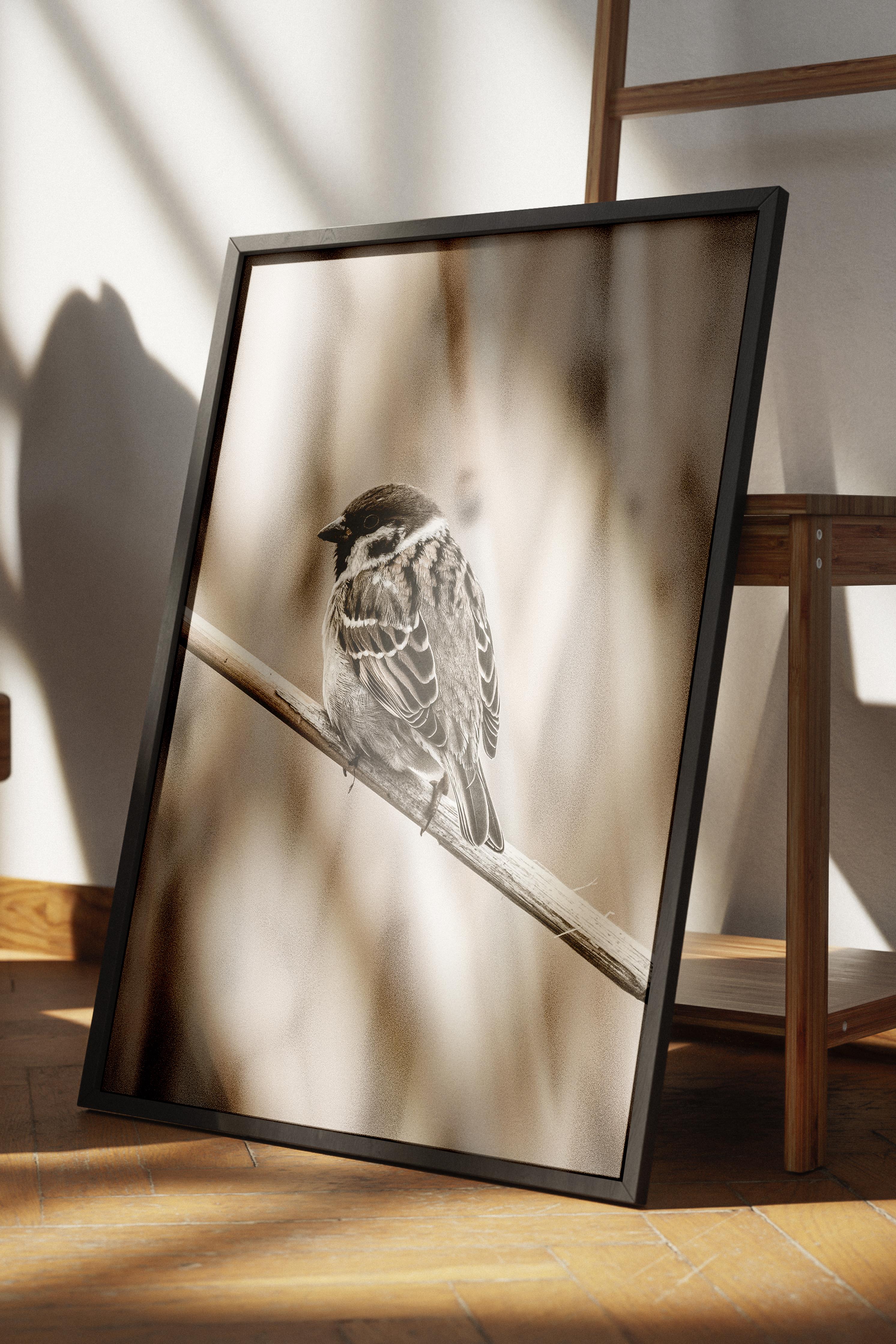 Rustic Çerçevesiz Poster, İskandinav Kahverengi Poster, NO:304 Kuş Fotoğraf, Dikey