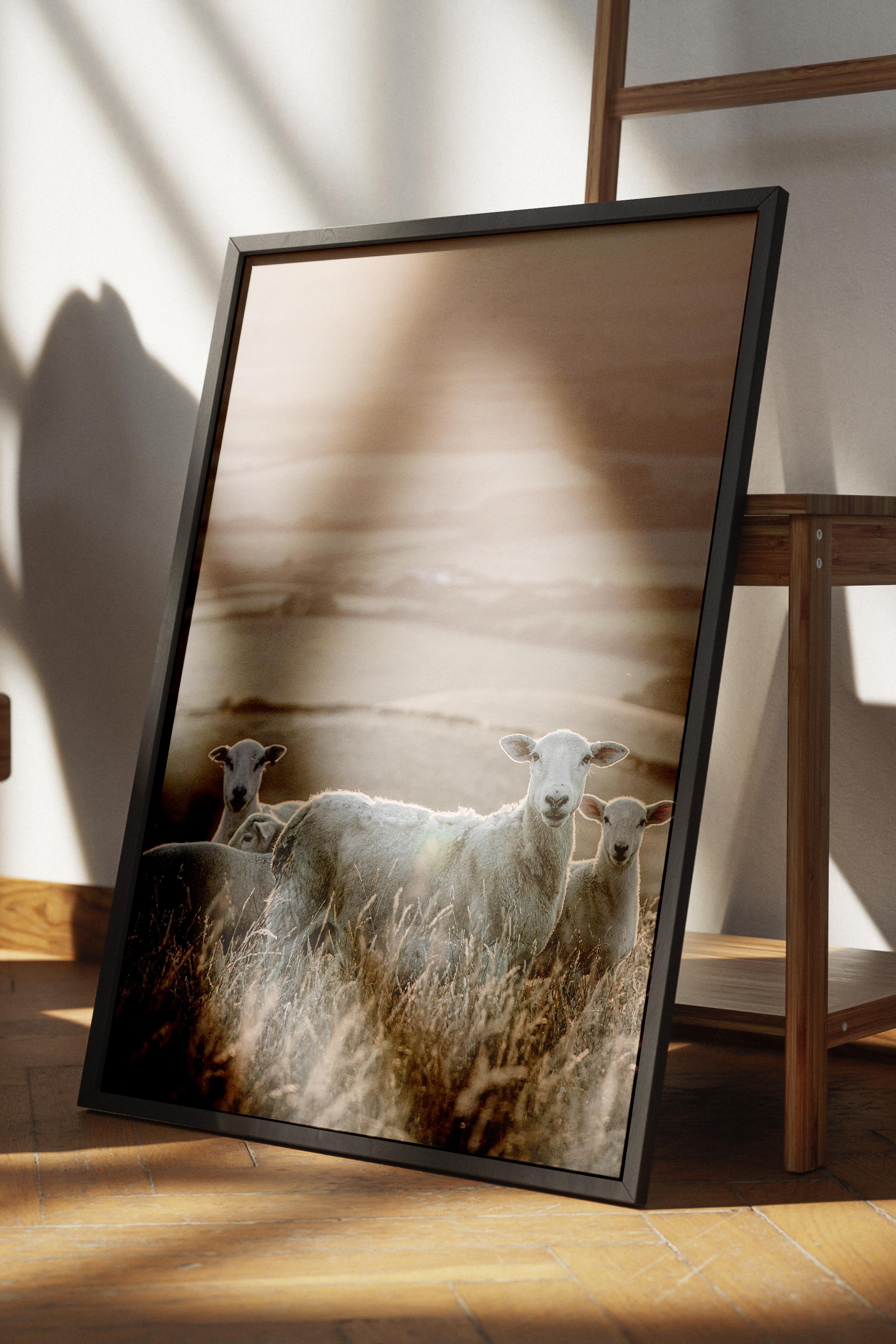 Rustic Çerçevesiz Poster, İskandinav Kahverengi Poster, NO:309 Tarlalar Fotoğraf, Dikey