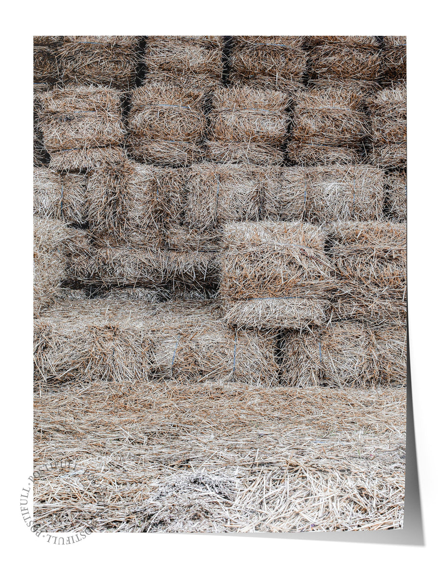 Saman Balyaları Rustic Çerçevesiz Poster