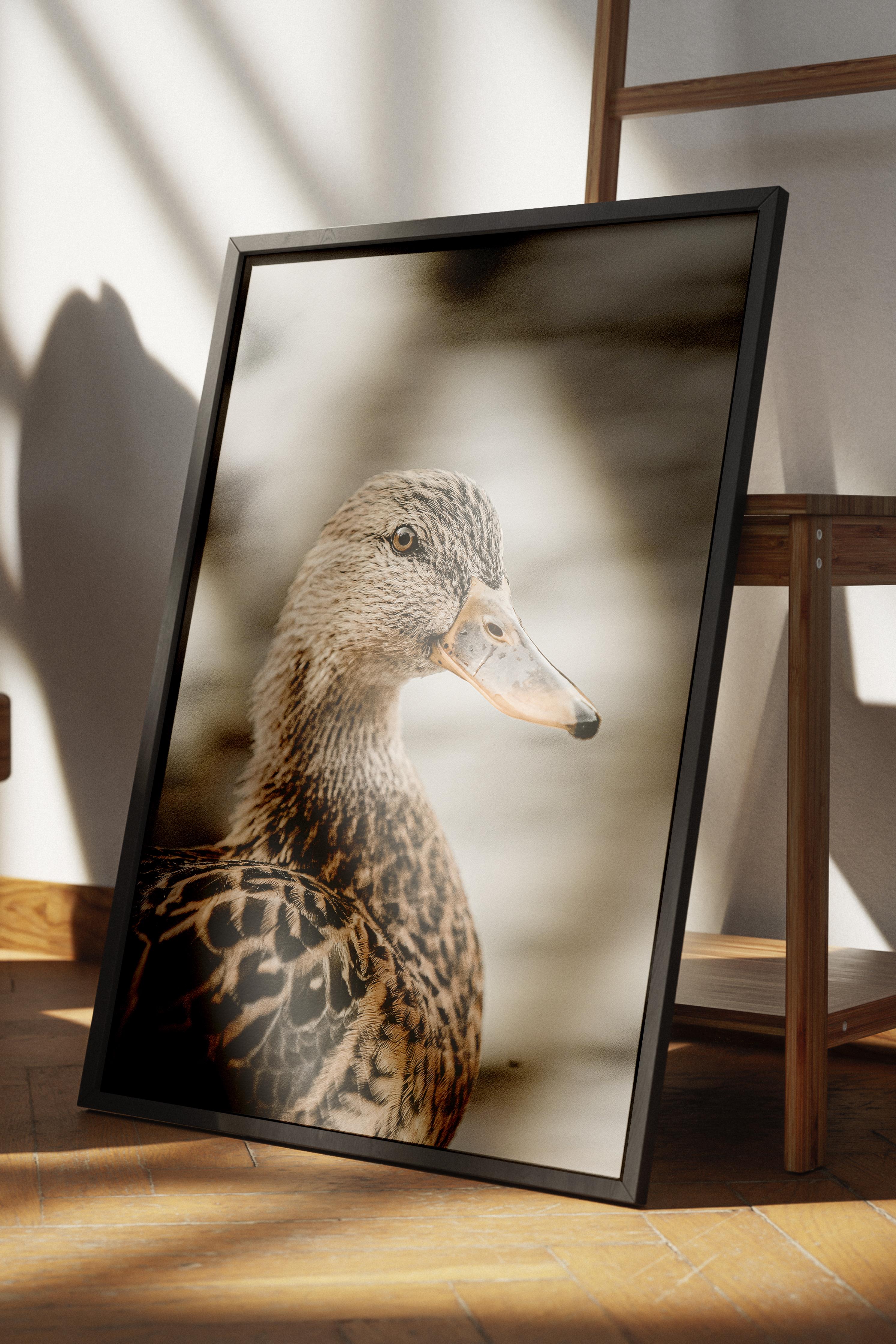 Rustic Çerçevesiz Poster, İskandinav Kahverengi Poster, NO:354 Ördek Fotoğraf, Dikey