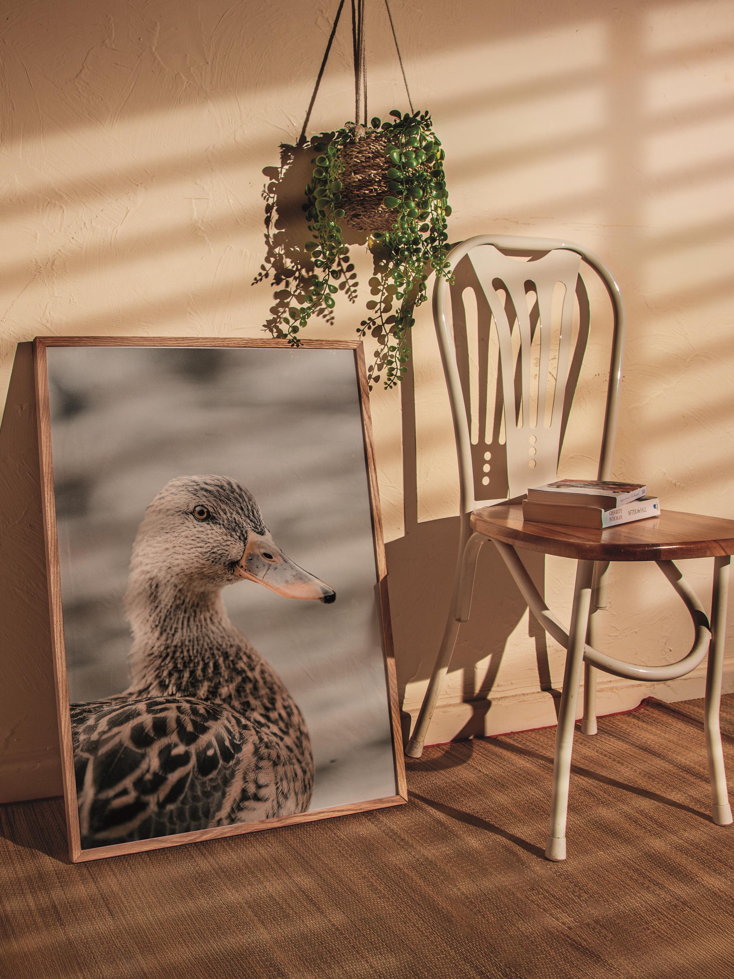 Rustic Çerçevesiz Poster, İskandinav Kahverengi Poster, NO:354 Ördek Fotoğraf, Dikey
