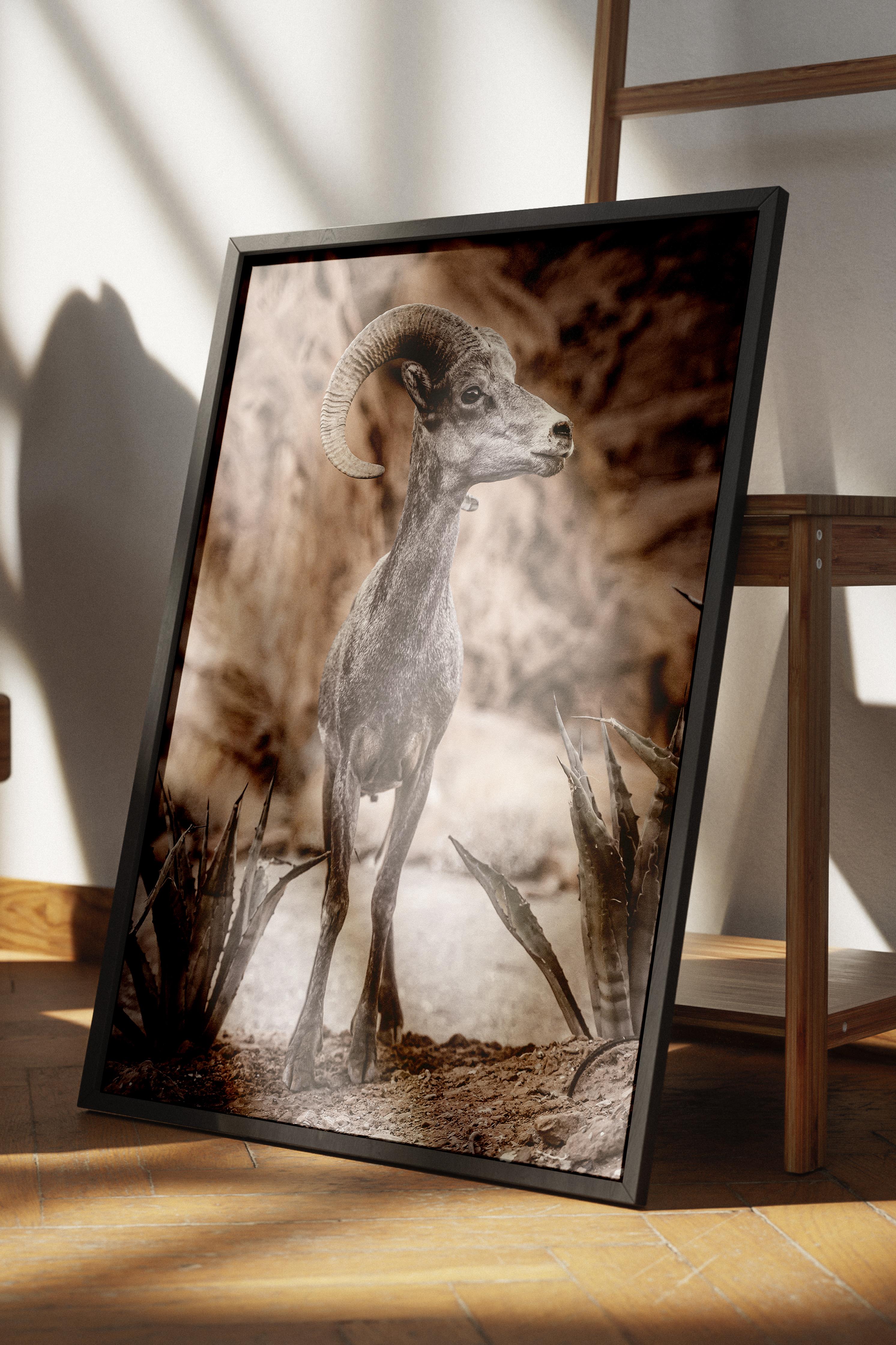 Rustic Çerçevesiz Poster, İskandinav Kahverengi Poster, NO:355 Ceylan Fotoğraf, Dikey