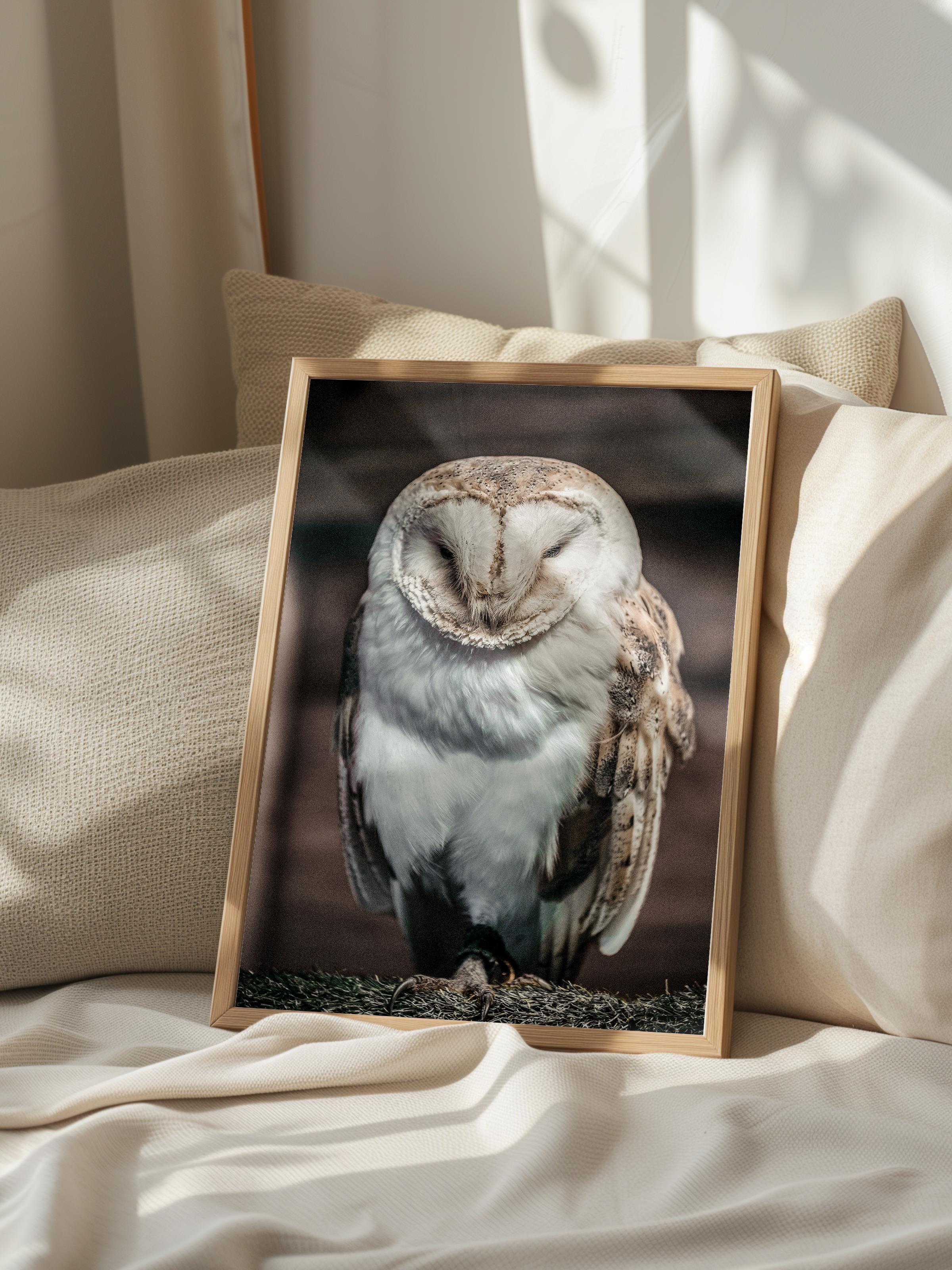 Rustic Çerçevesiz Poster, İskandinav Kahverengi Poster, NO:358 Baykuş Fotoğraf, Dikey