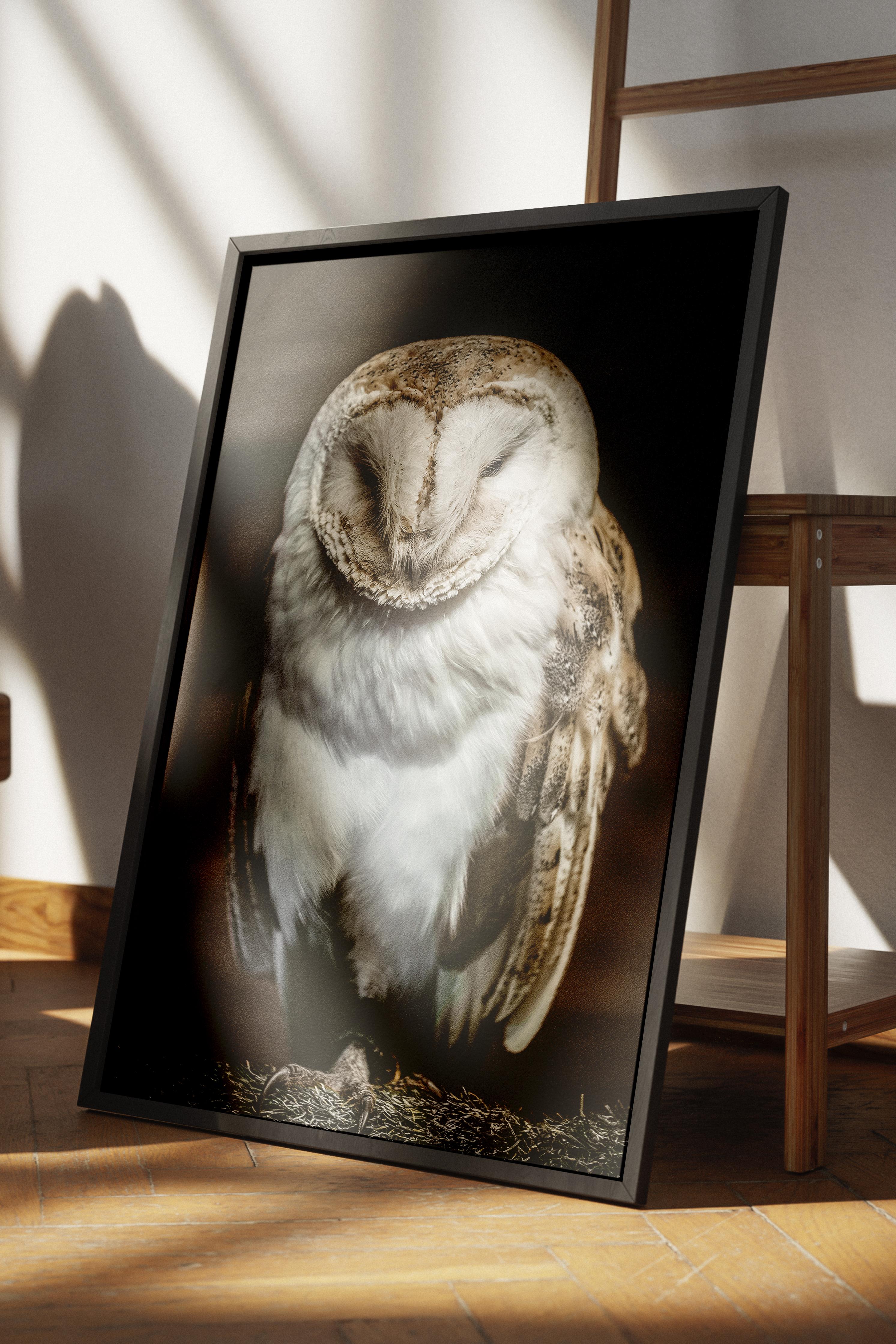 Rustic Çerçevesiz Poster, İskandinav Kahverengi Poster, NO:358 Baykuş Fotoğraf, Dikey