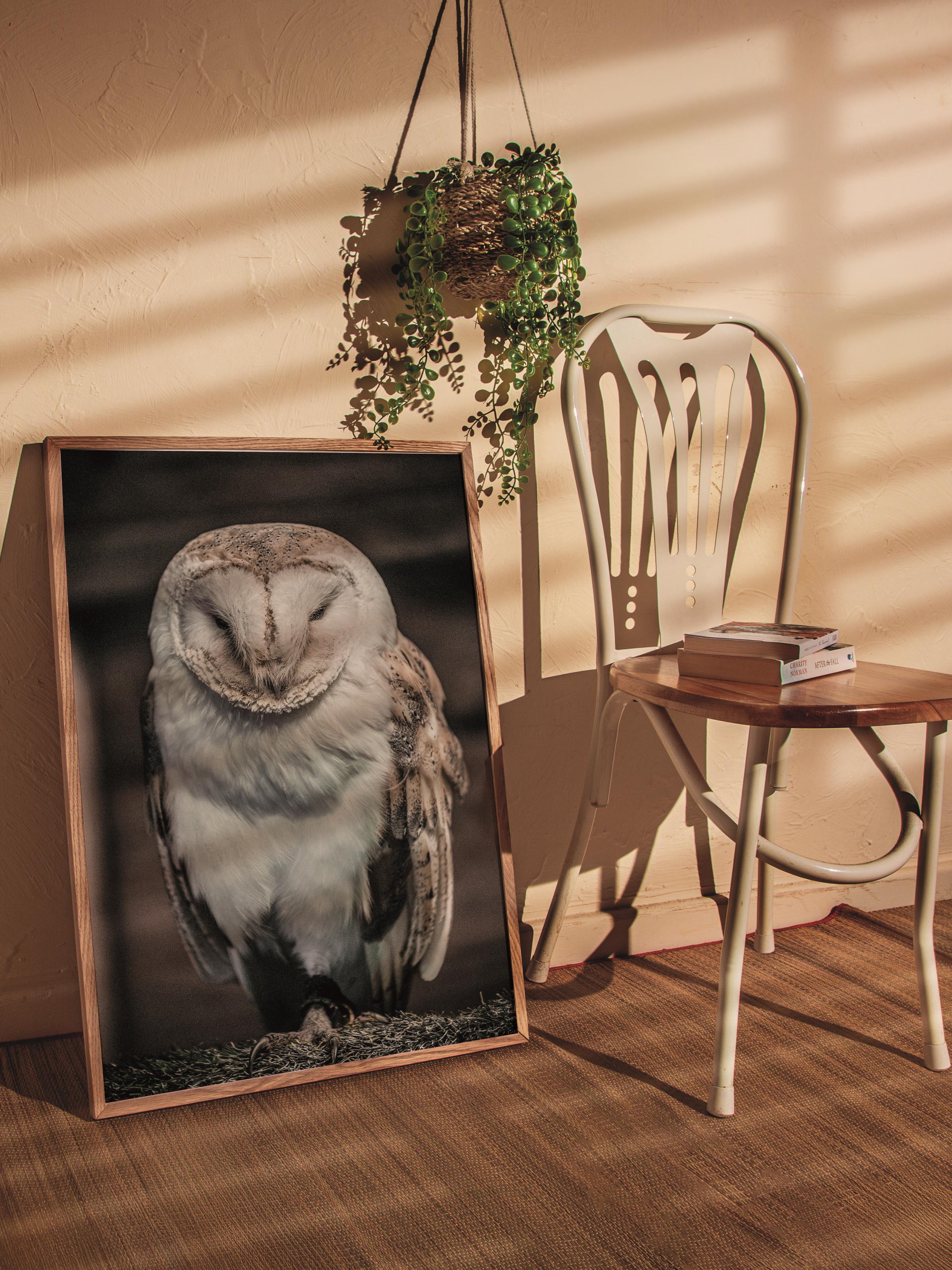 Rustic Çerçevesiz Poster, İskandinav Kahverengi Poster, NO:358 Baykuş Fotoğraf, Dikey